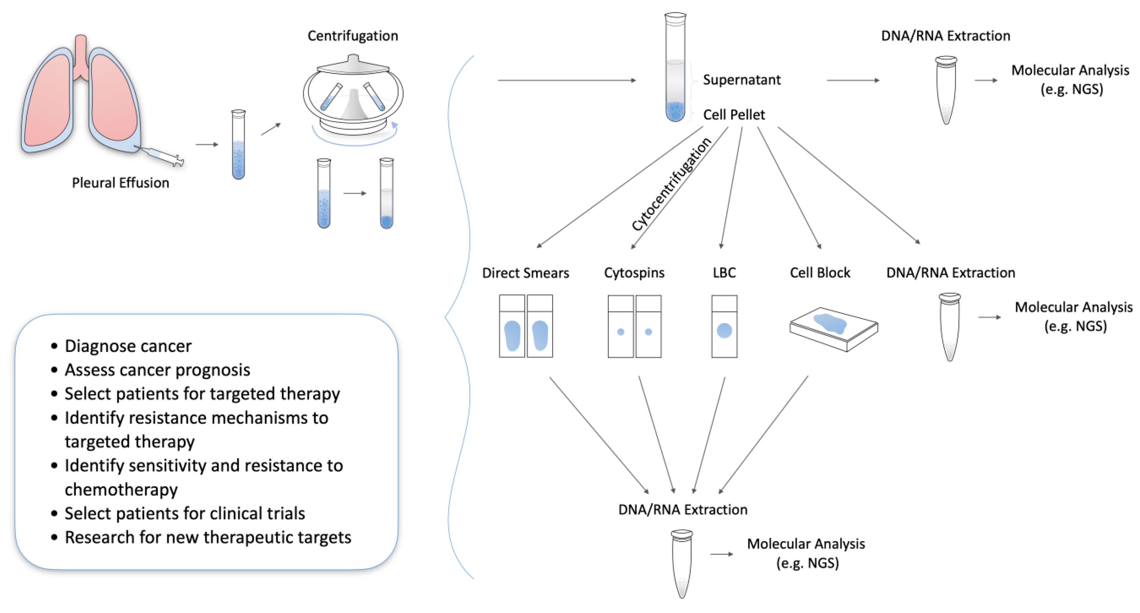 Jpm 10 00206 g001 Jpm 10 00206 g001