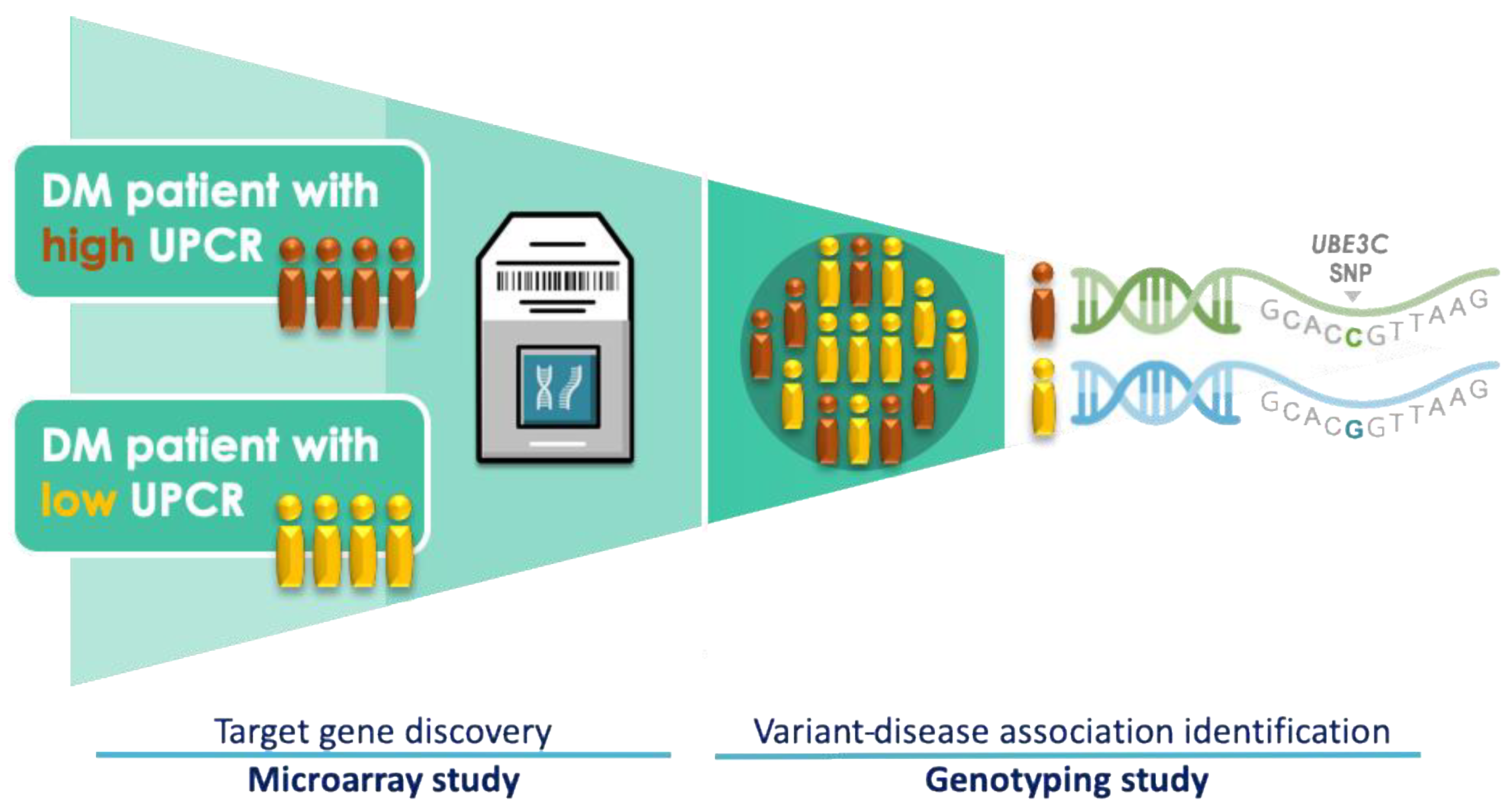 Jpm 10 00210 g001 Jpm 10 00210 g001