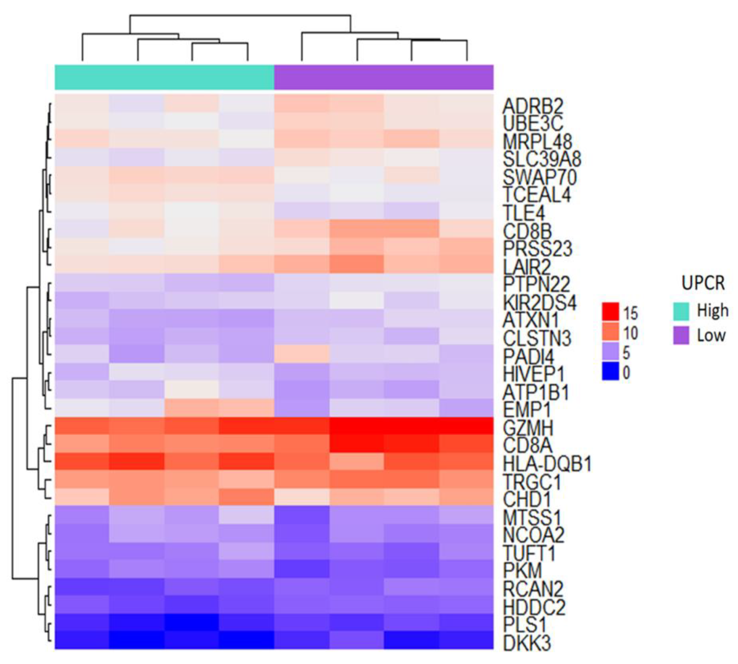 Jpm 10 00210 g002 Jpm 10 00210 g002