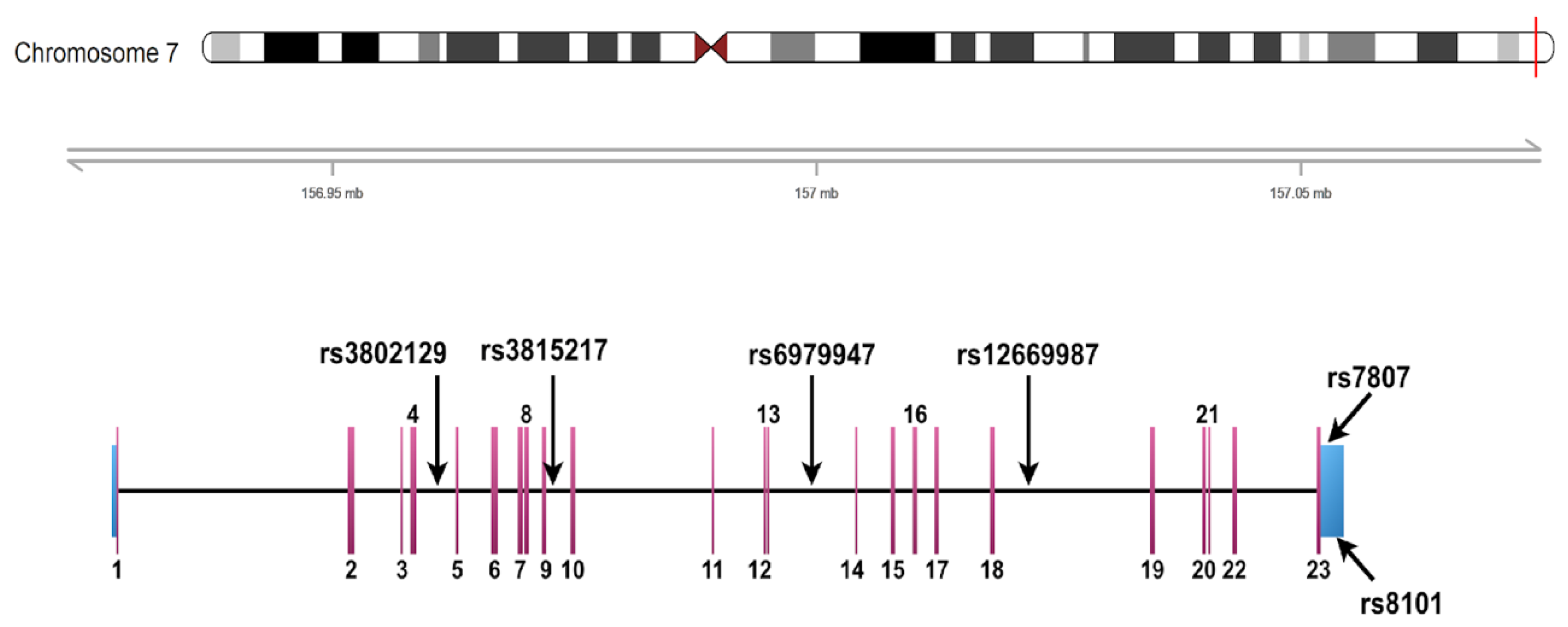 Jpm 10 00210 g003 Jpm 10 00210 g003