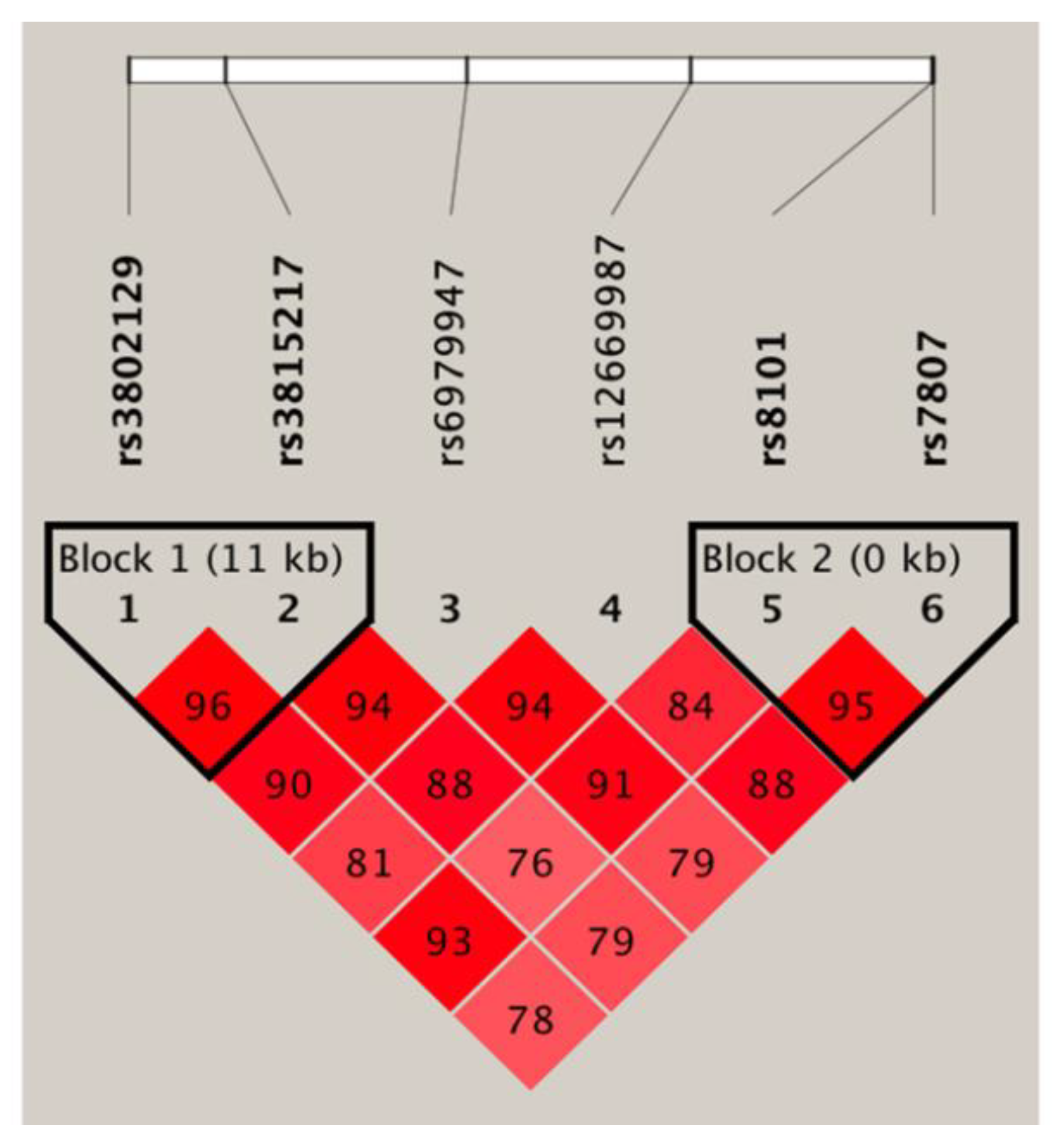 Jpm 10 00210 g004 Jpm 10 00210 g004