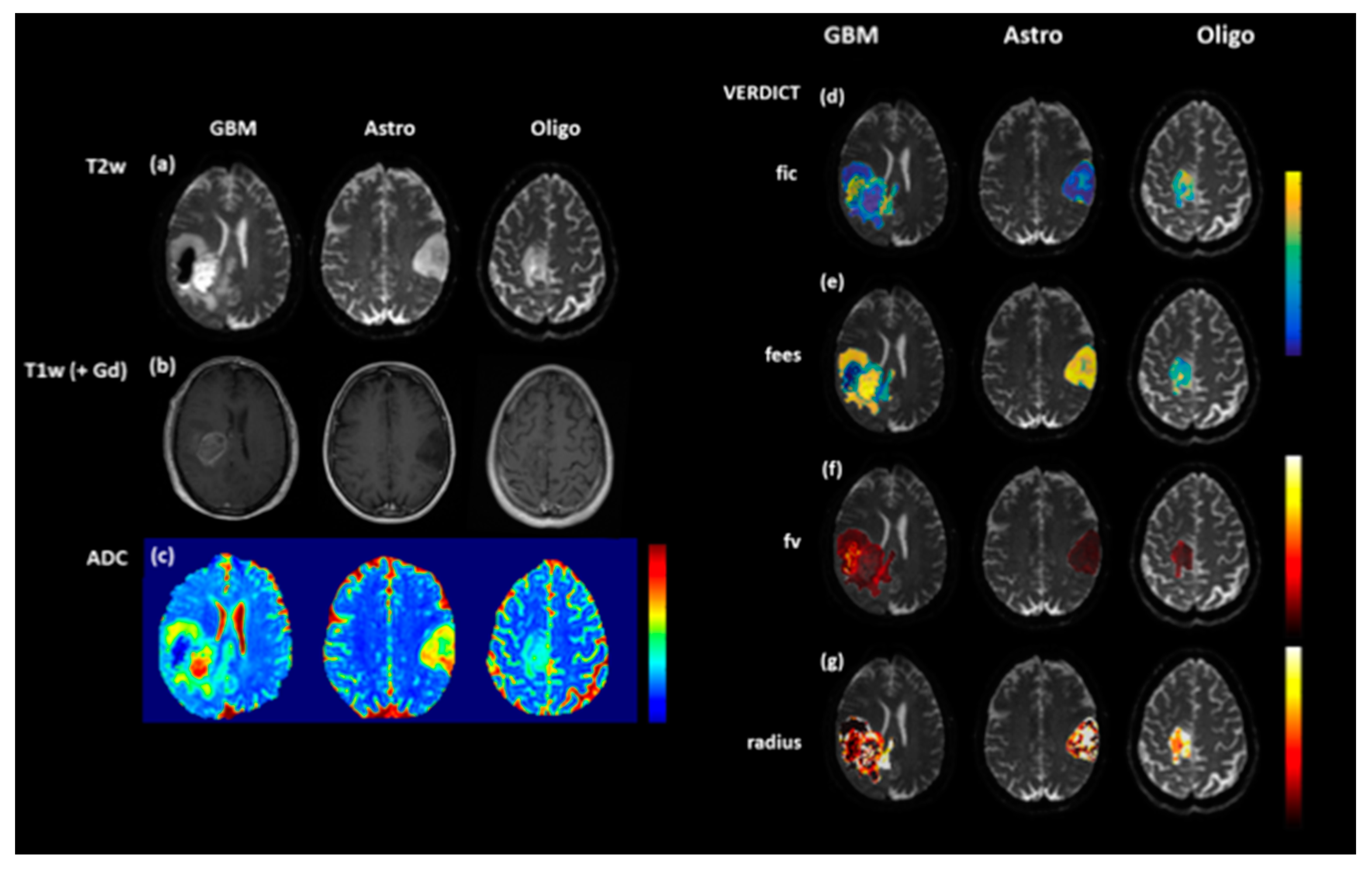 Jpm 10 00218 g002 Jpm 10 00218 g002