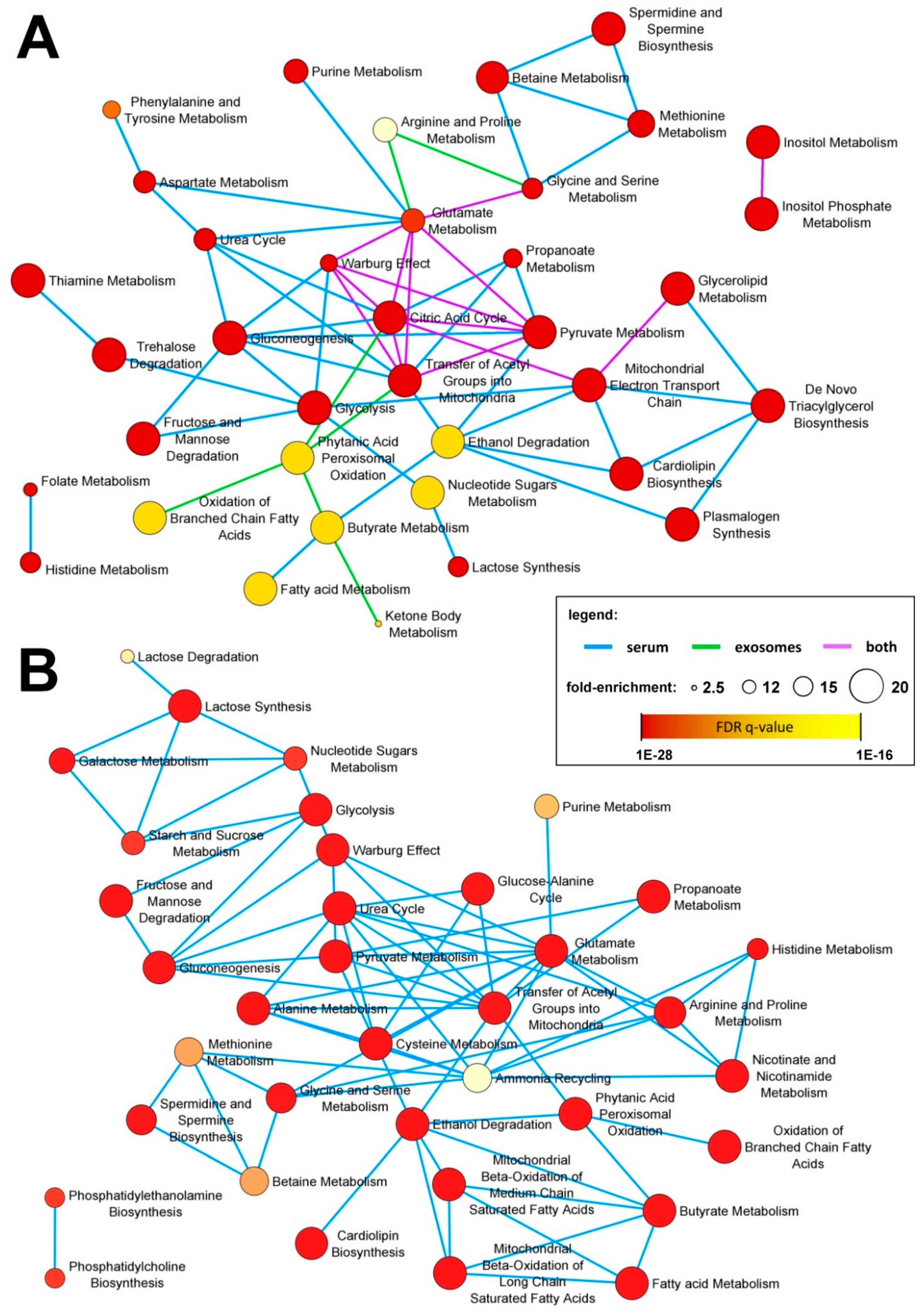 Jpm 10 00229 g005 Jpm 10 00229 g005