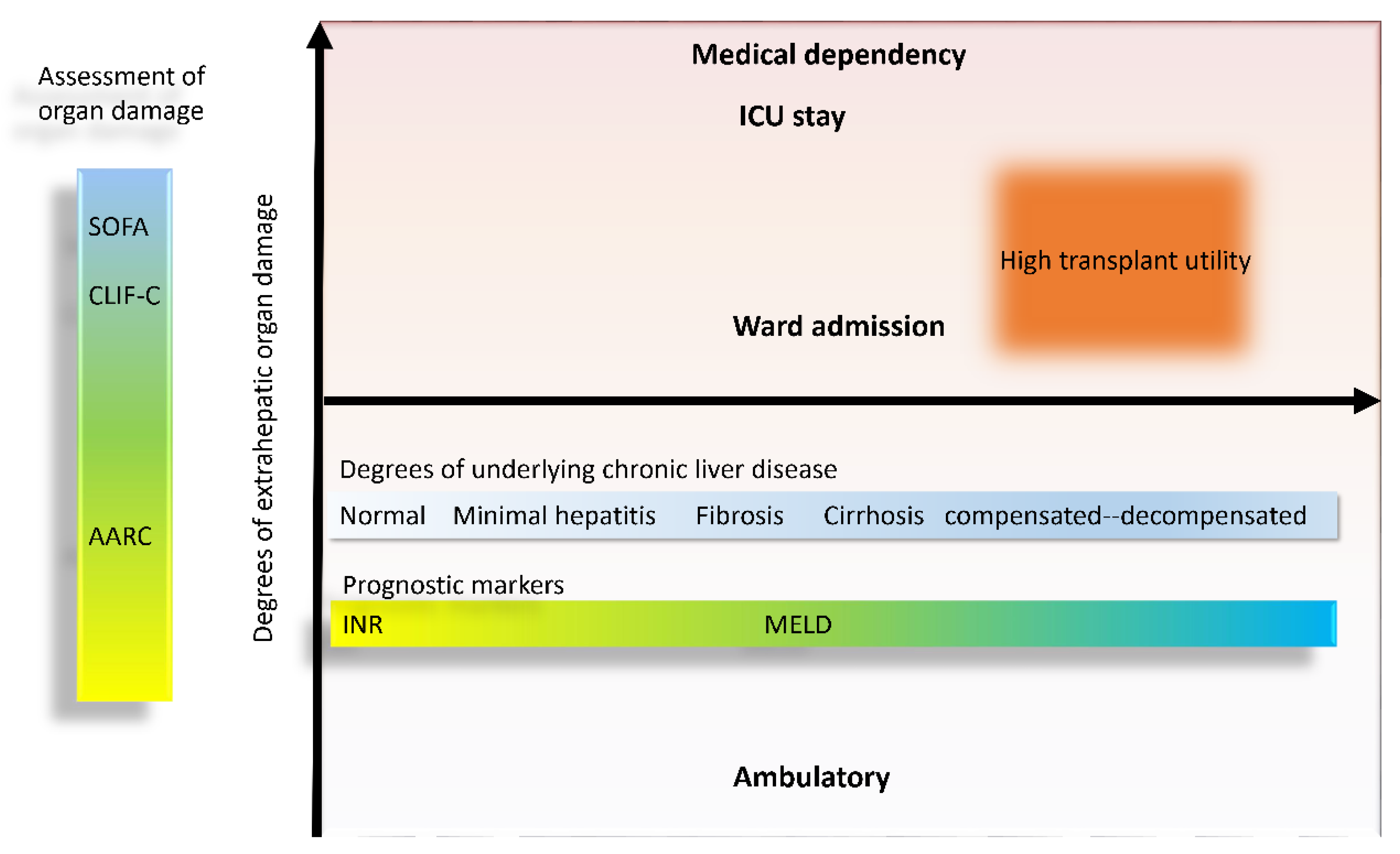 Jpm 10 00230 g004 Jpm 10 00230 g004