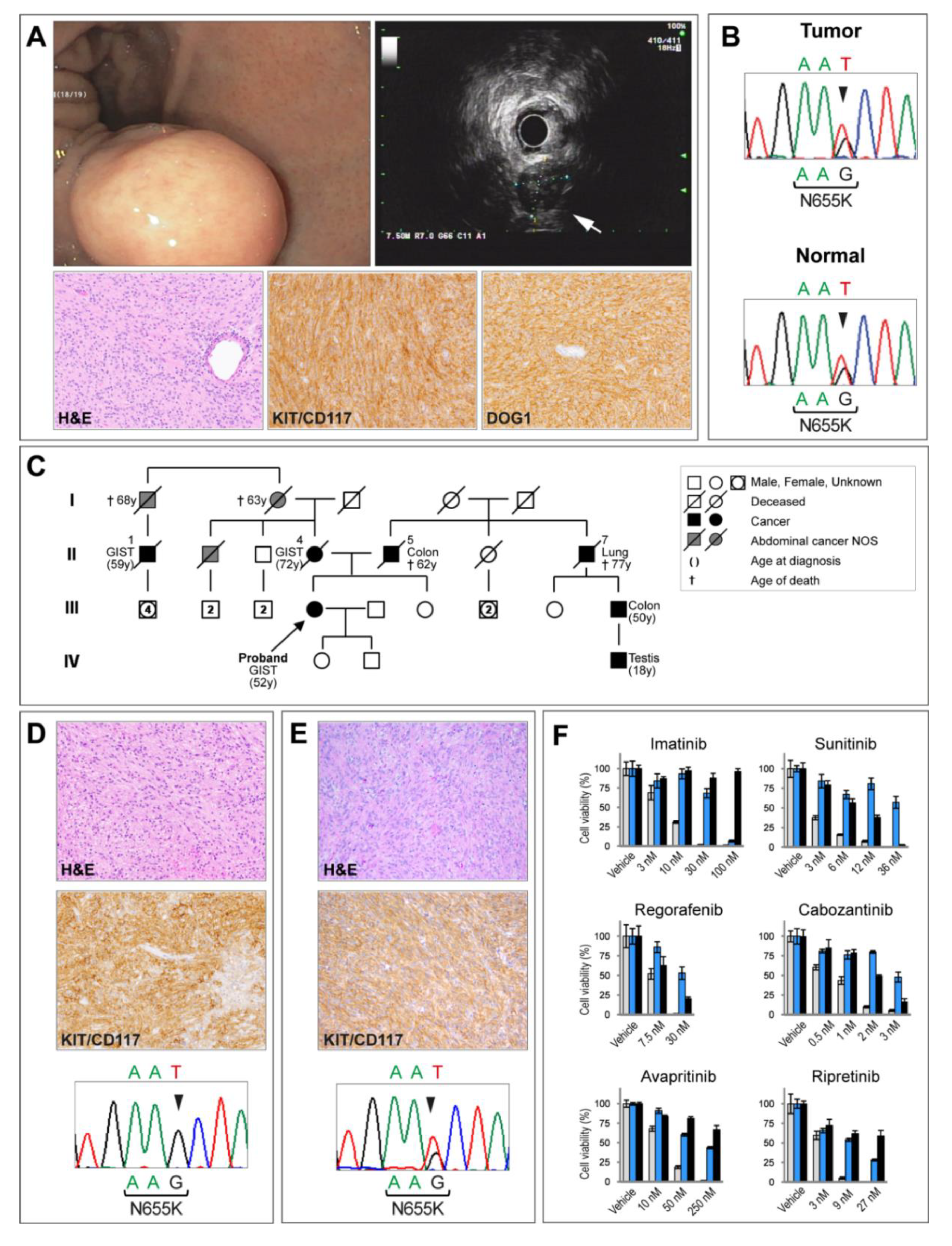 Jpm 10 00234 g001 Jpm 10 00234 g001
