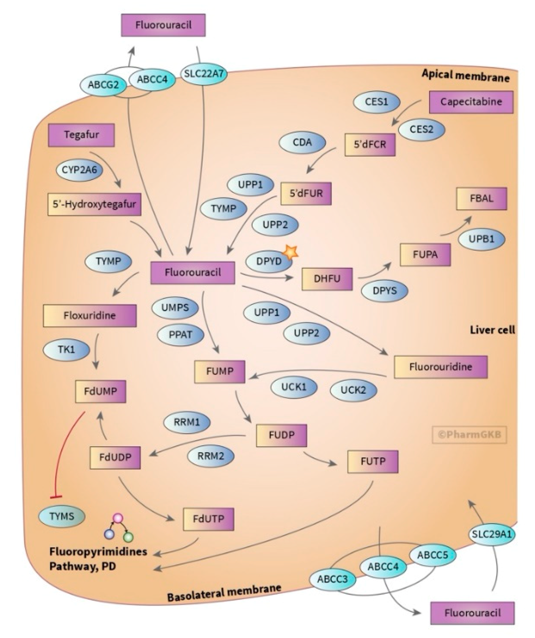 Jpm 10 00237 g001 Jpm 10 00237 g001