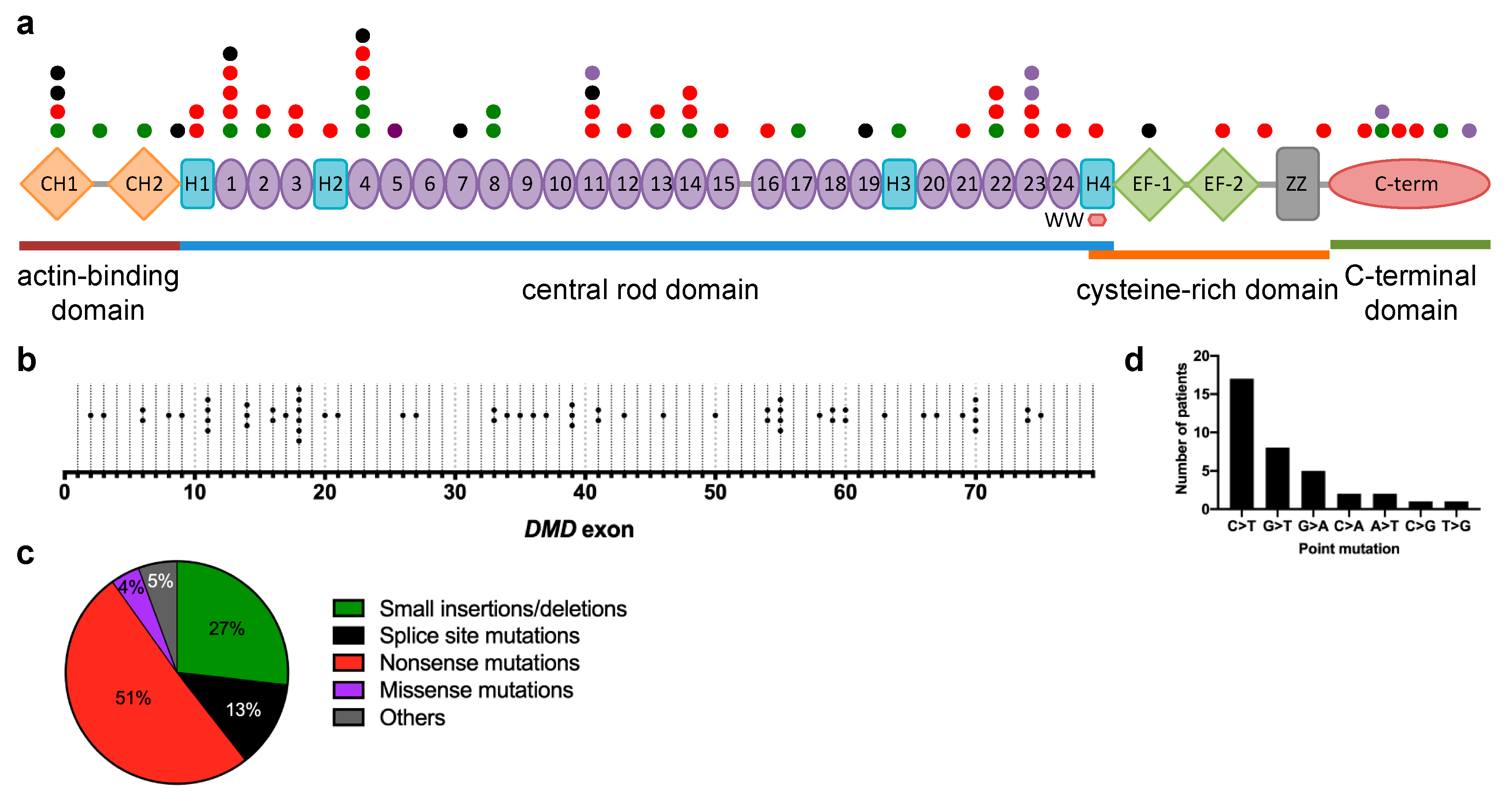 Jpm 10 00241 g003 Jpm 10 00241 g003
