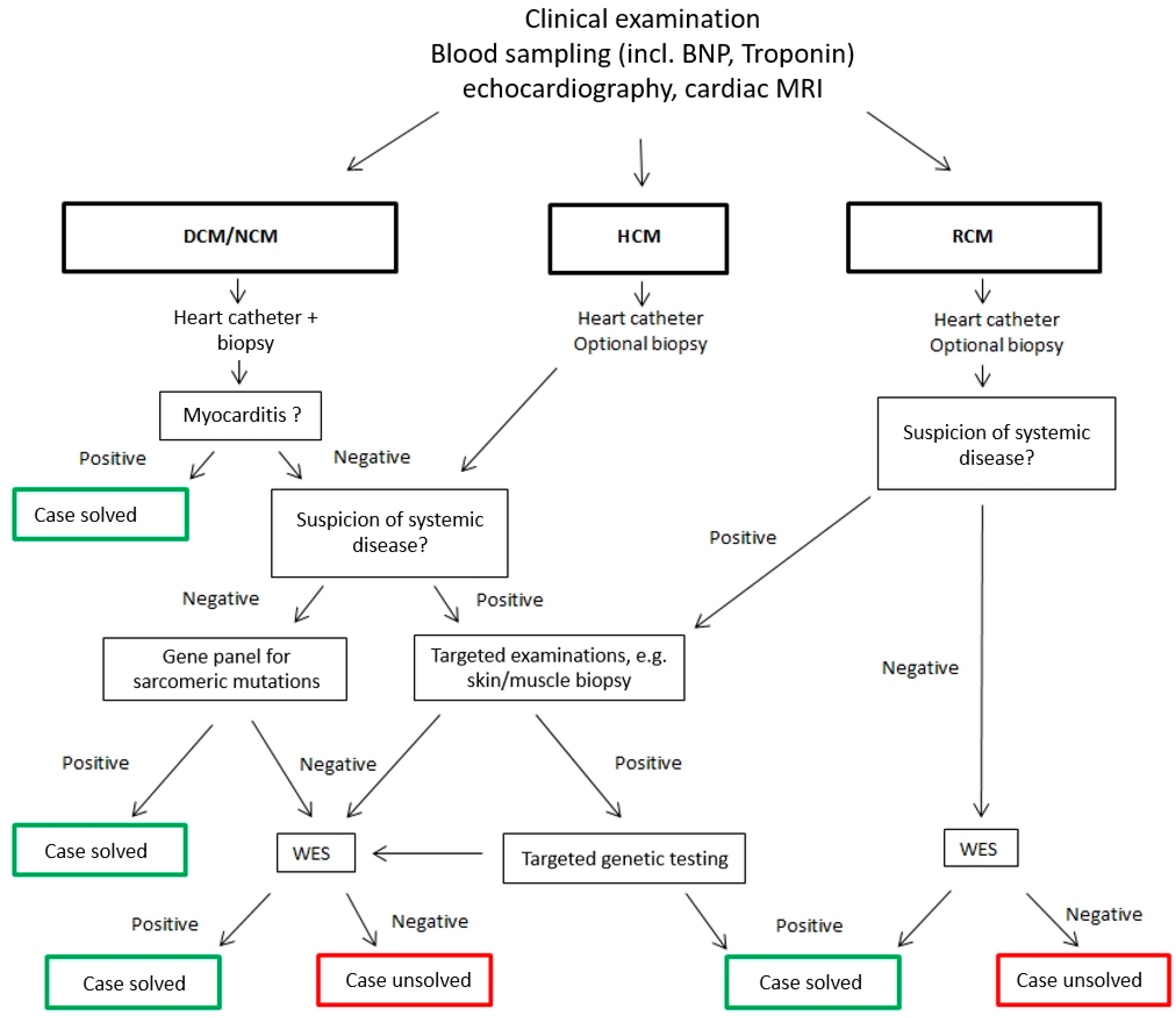 Jpm 10 00251 g001 Jpm 10 00251 g001