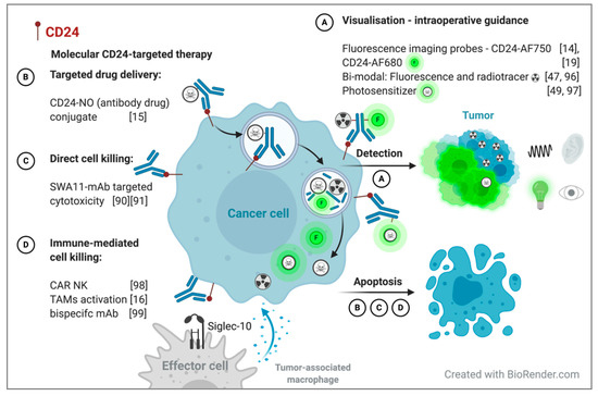 JPM | Special Issue : CD24 - a Novel Target for Cancer Therapy and a  Biomarker for Cancer Prediction