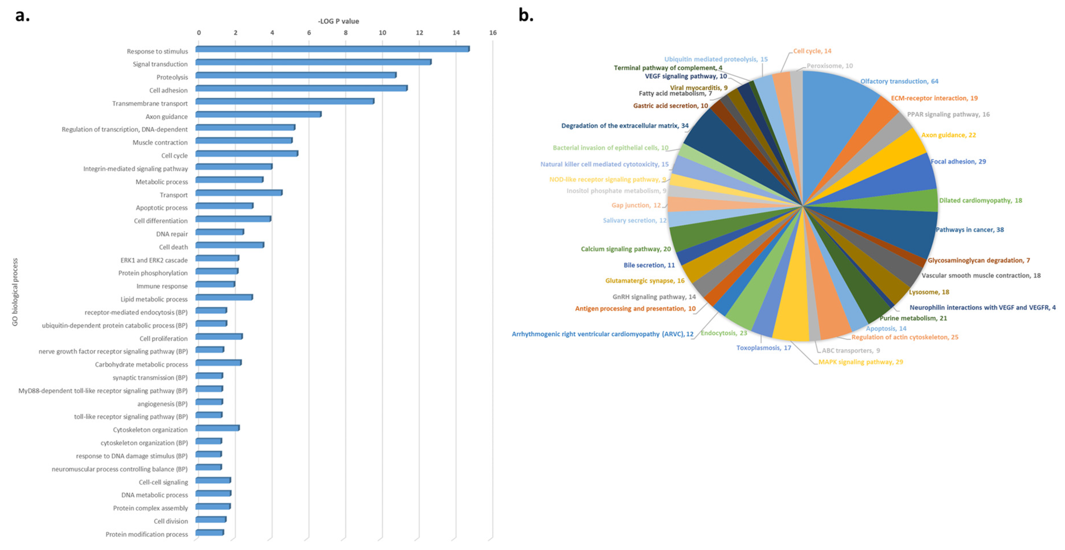 Jpm 10 00262 g002 Jpm 10 00262 g002