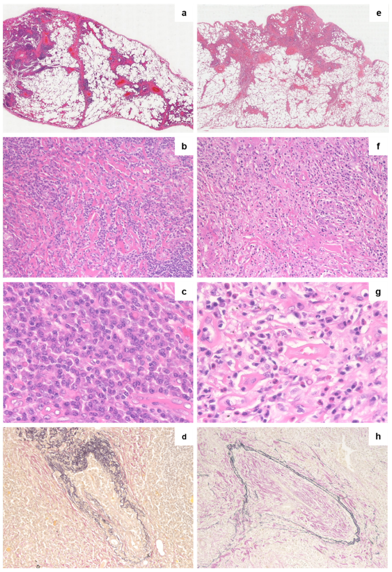 Jpm 10 00269 g001 Jpm 10 00269 g001