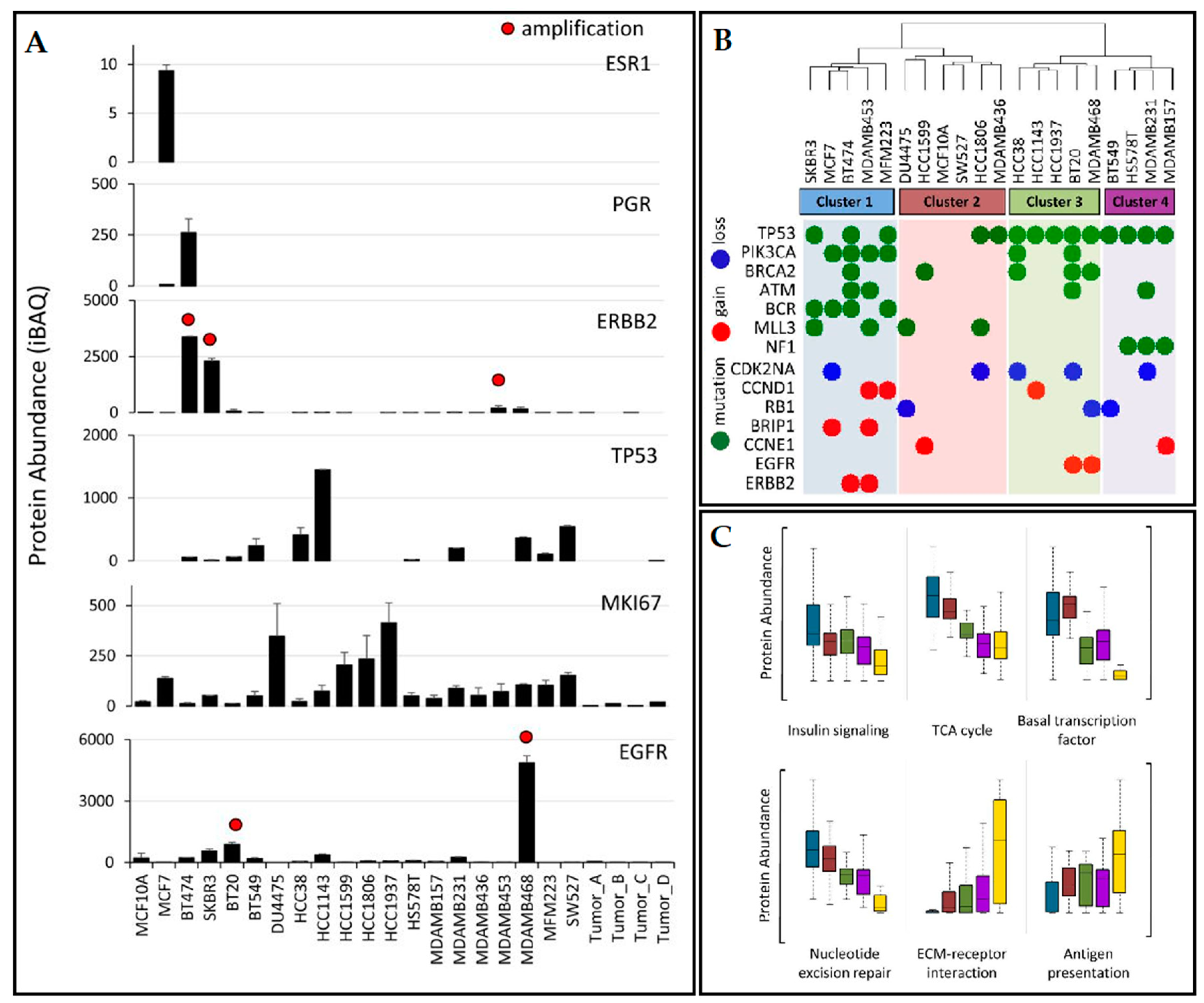 Jpm 10 00277 g002 Jpm 10 00277 g002