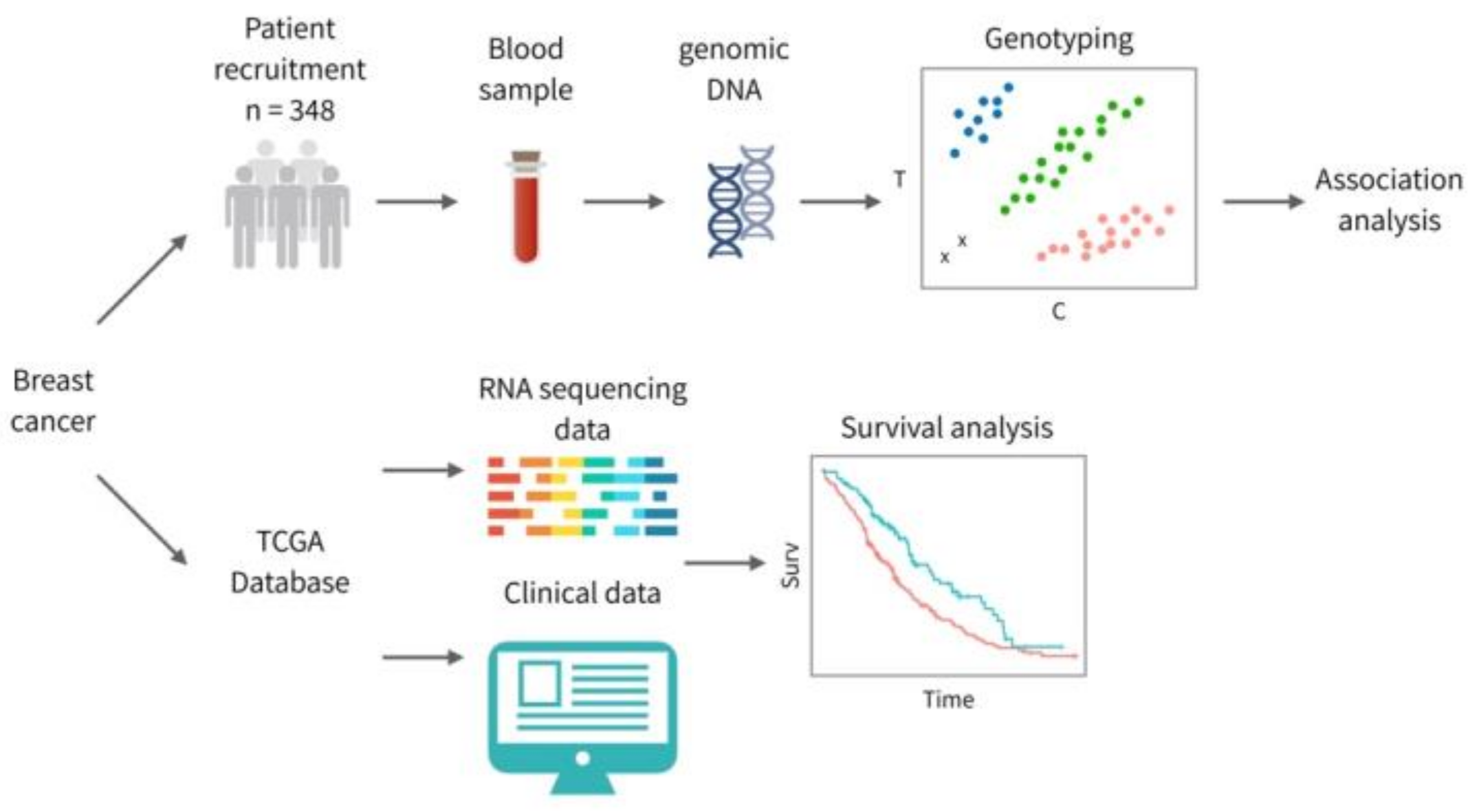 Jpm 10 00287 g001 Jpm 10 00287 g001