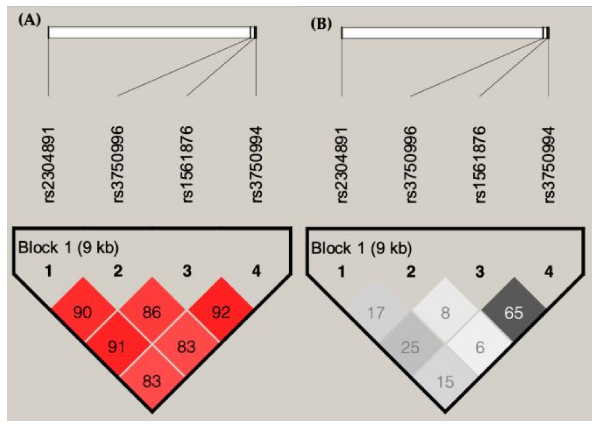 Jpm 10 00287 g003 Jpm 10 00287 g003