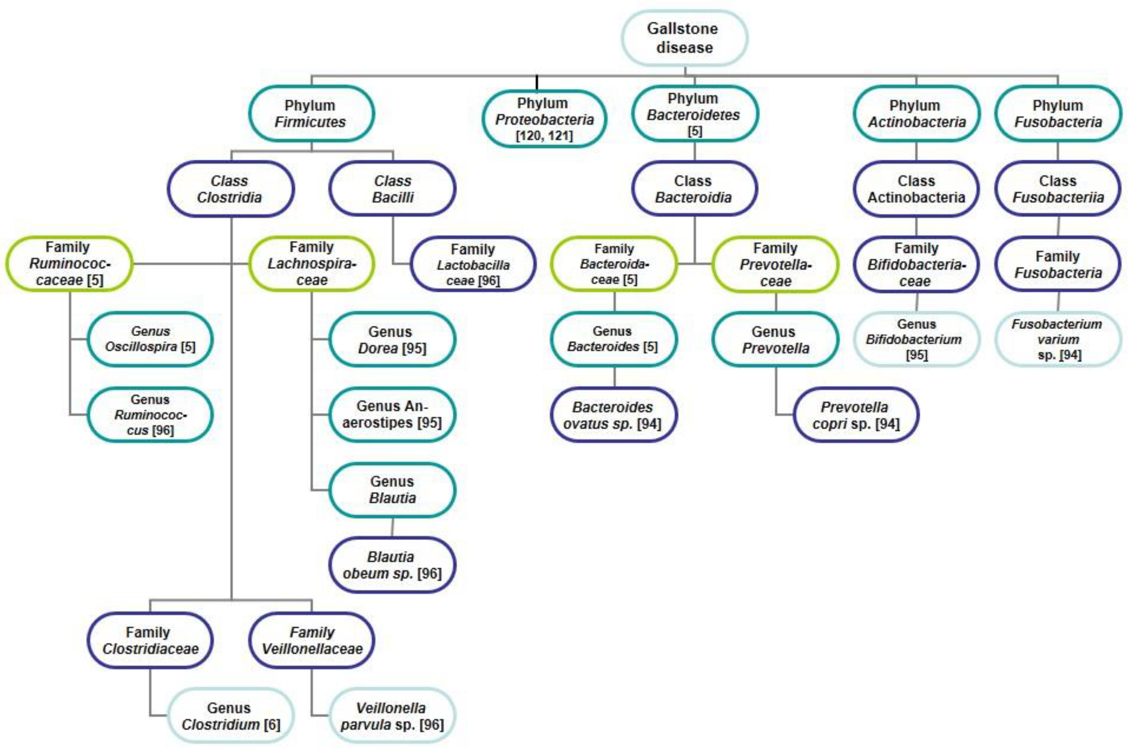 Jpm 11 00013 g001 Jpm 11 00013 g001