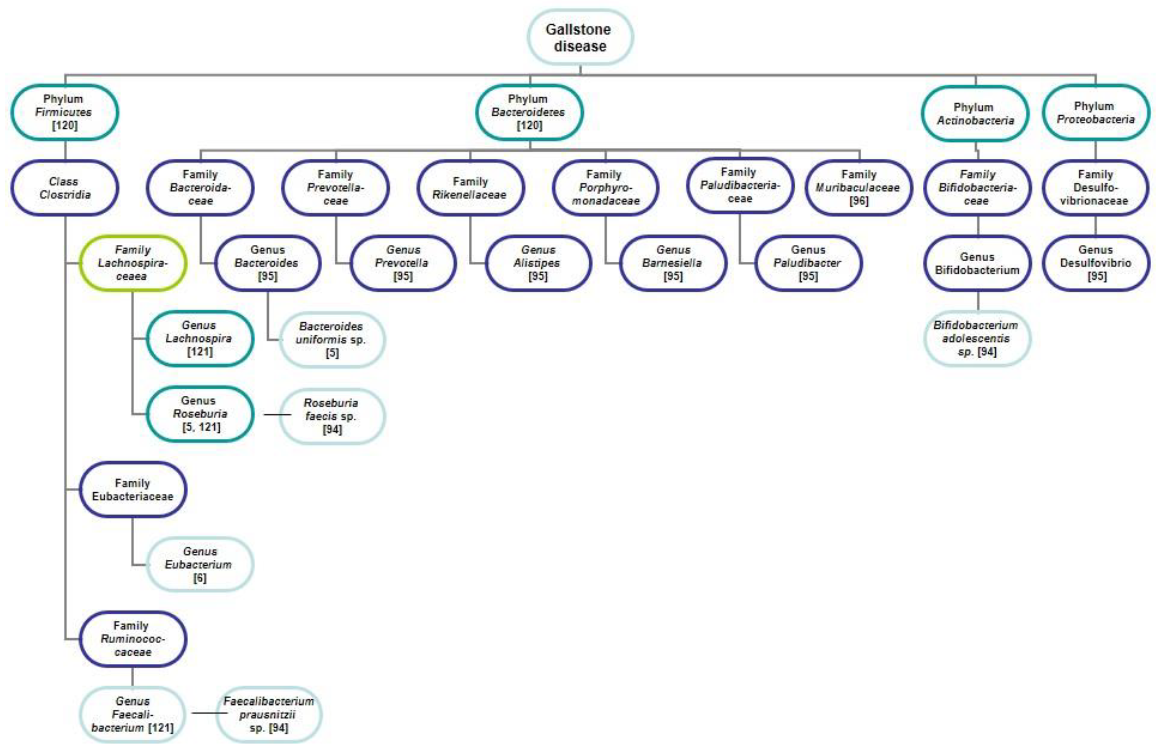 Jpm 11 00013 g002 Jpm 11 00013 g002