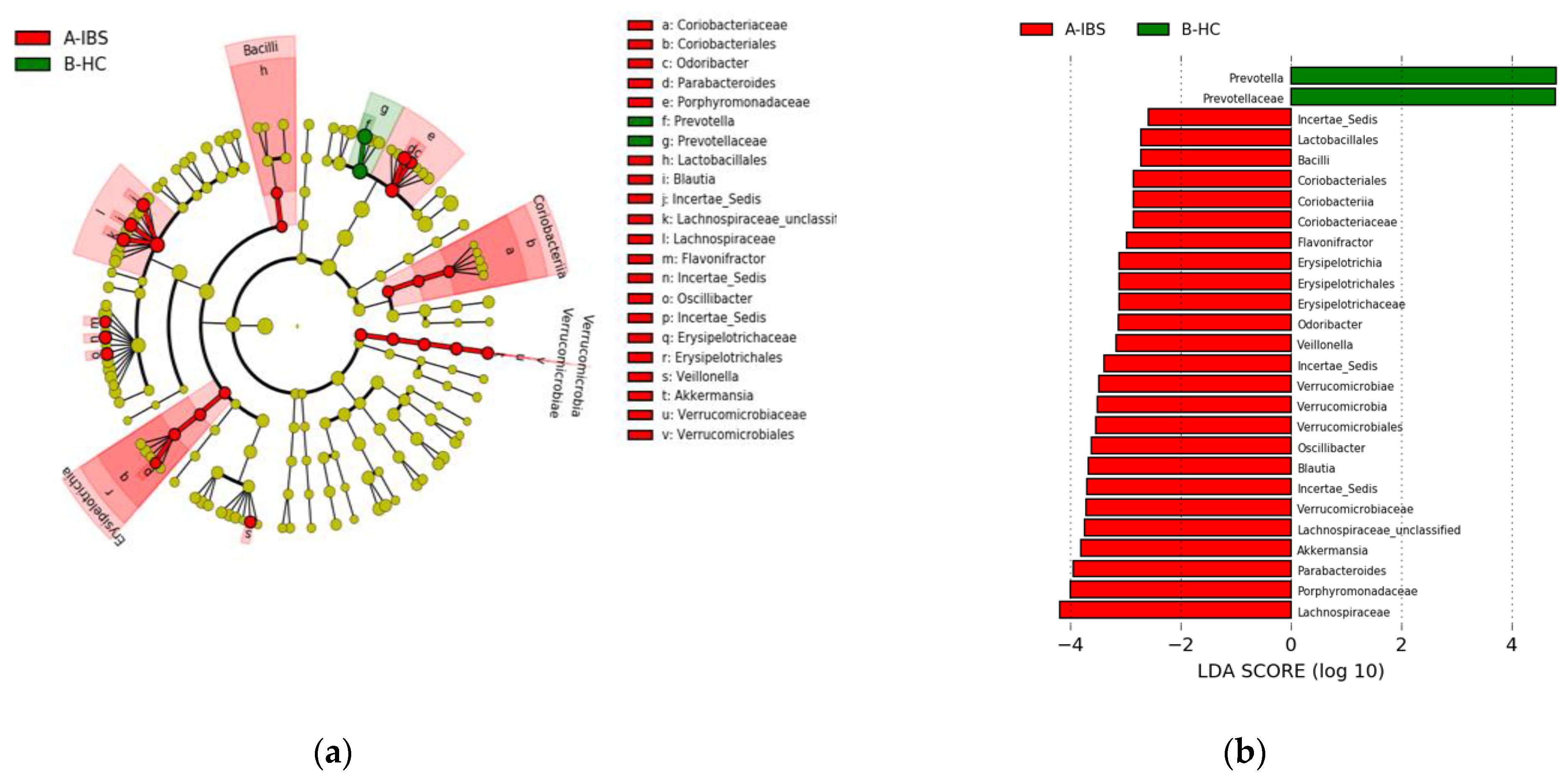 Jpm 11 00035 g002 Jpm 11 00035 g002