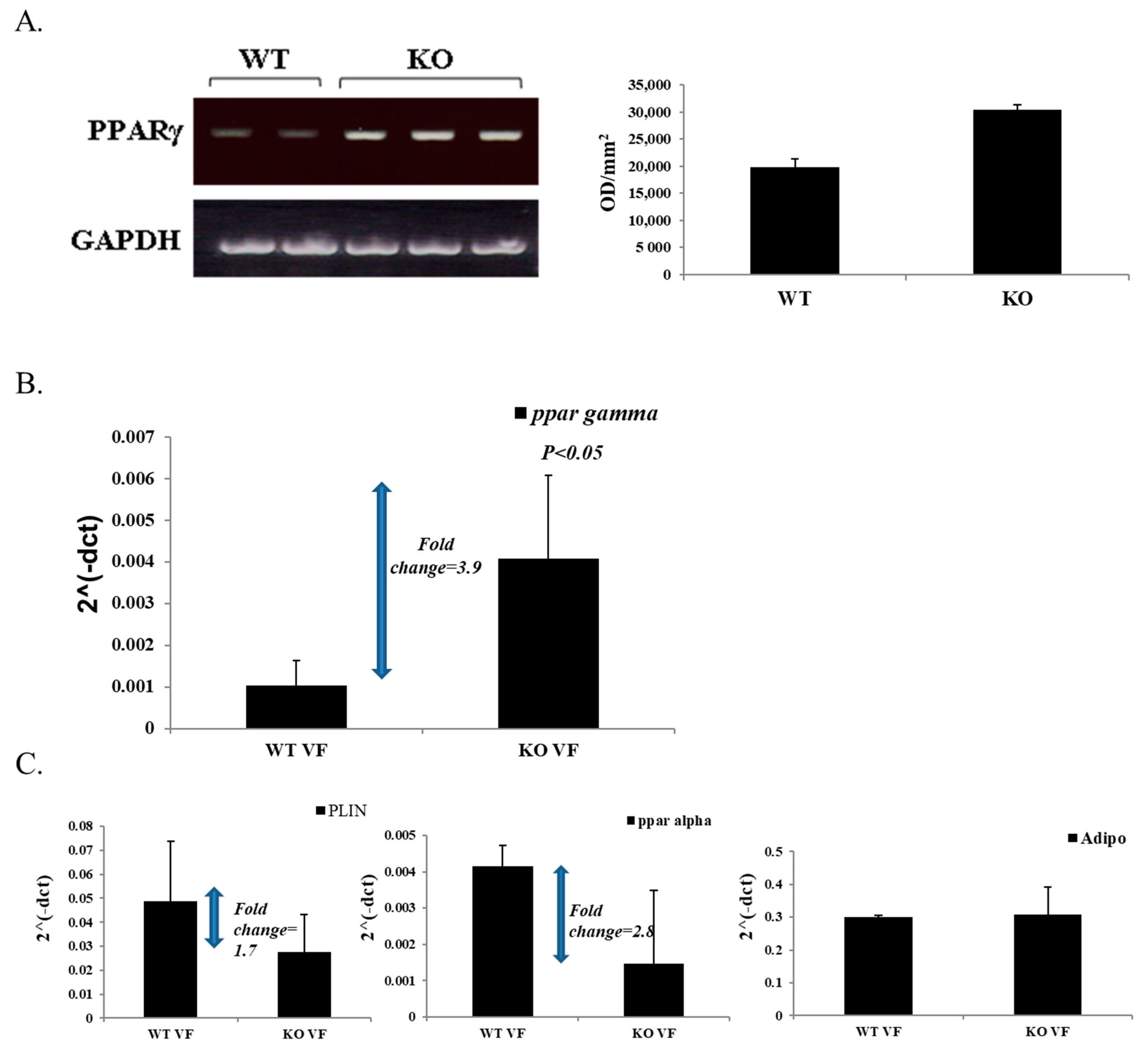 Jpm 11 00050 g005 Jpm 11 00050 g005