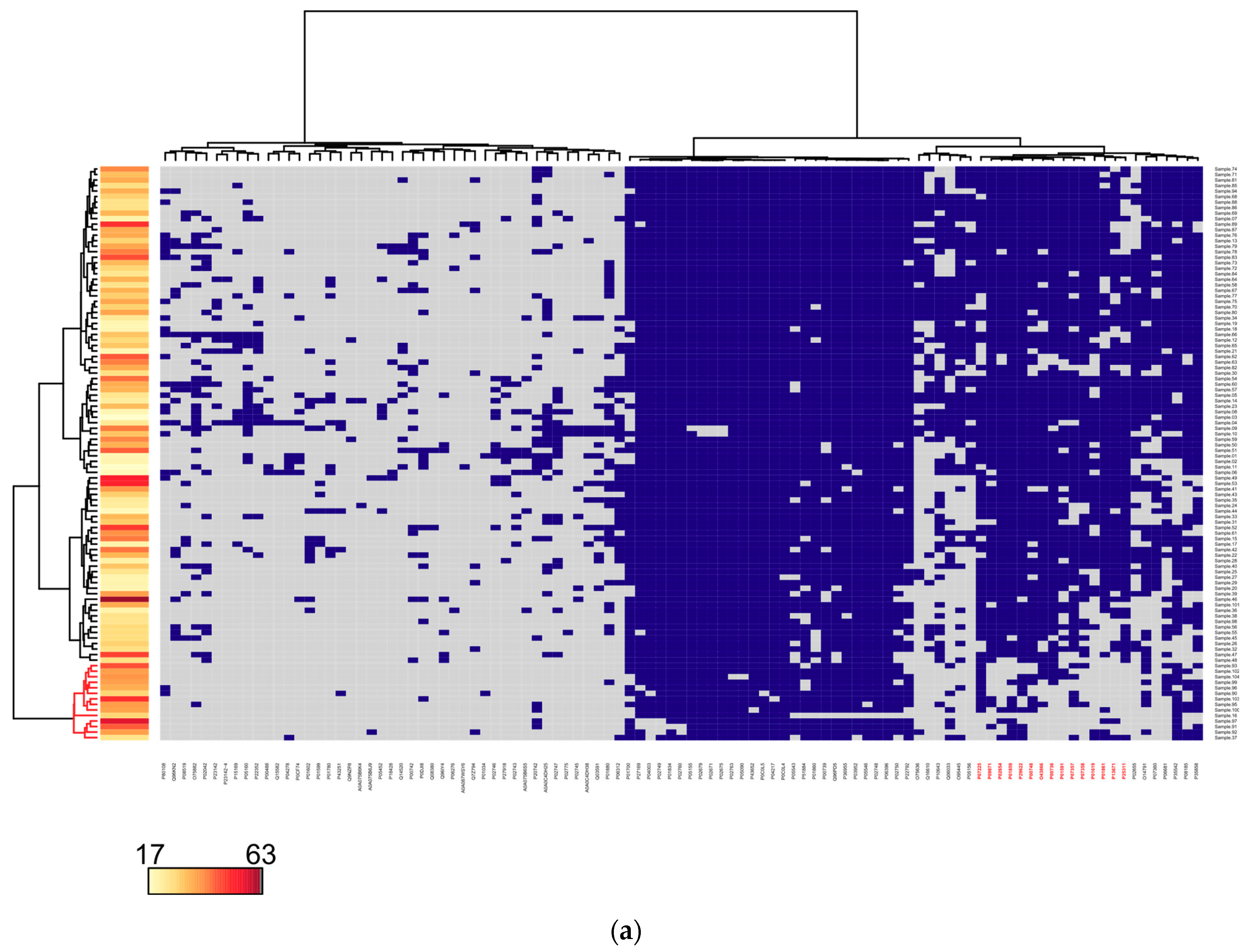 Jpm 11 00064 g002a Jpm 11 00064 g002a