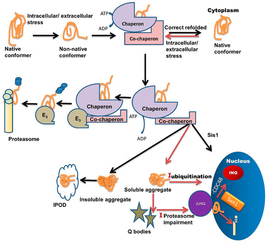 Jpm 11 00069 g001 550