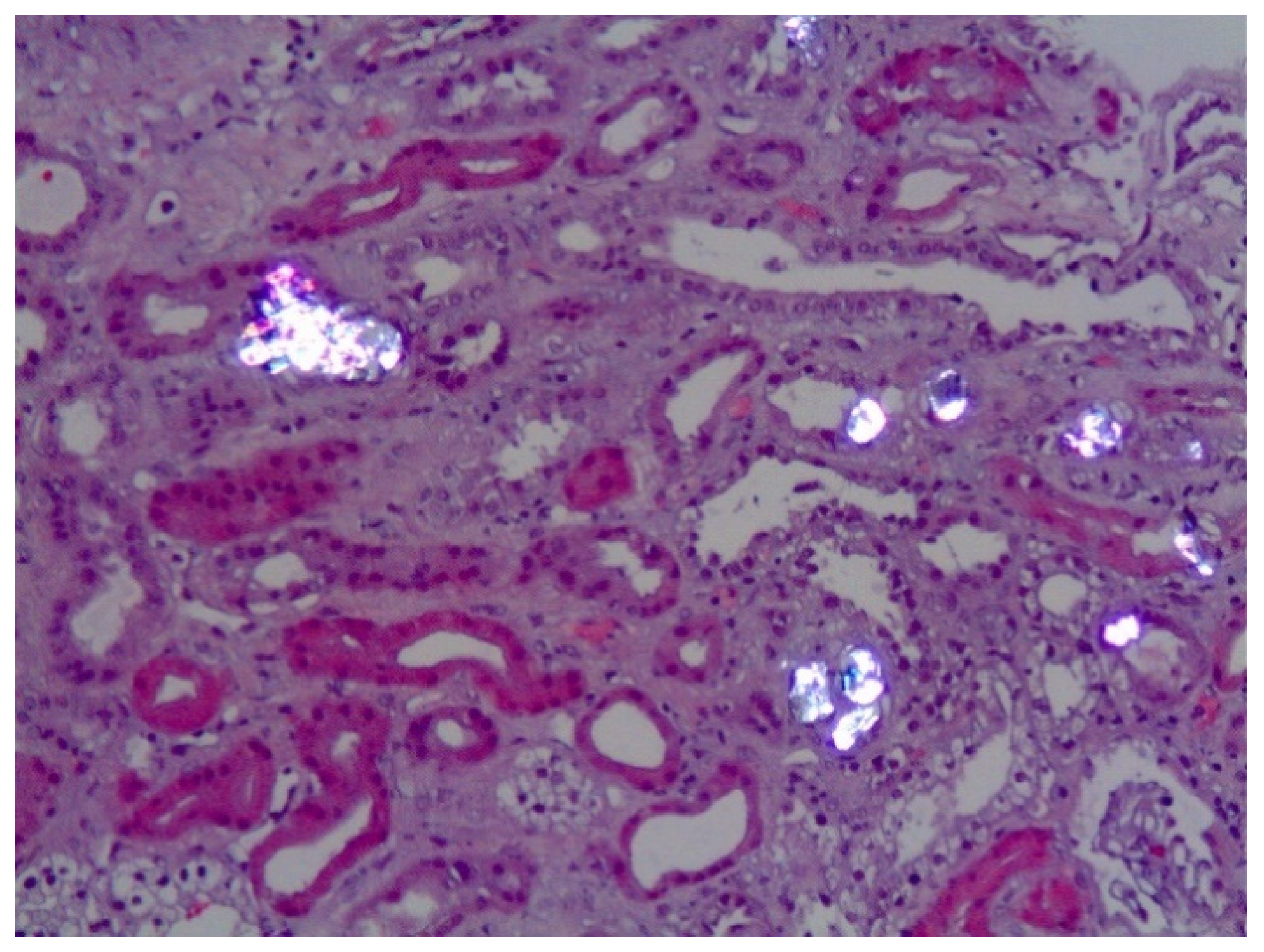 Jpm 11 00074 g002 Jpm 11 00074 g002