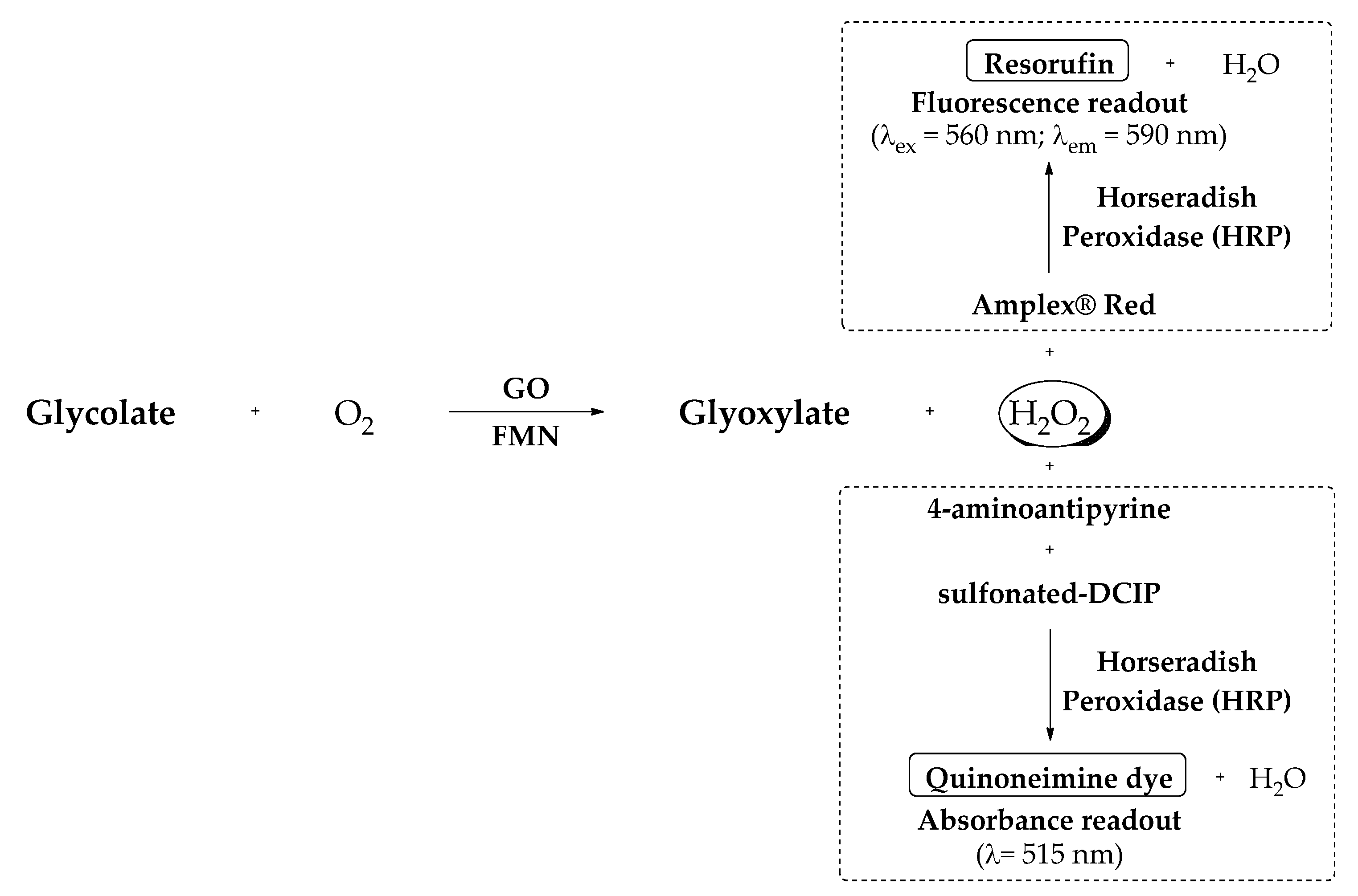 Jpm 11 00074 g008 Jpm 11 00074 g008
