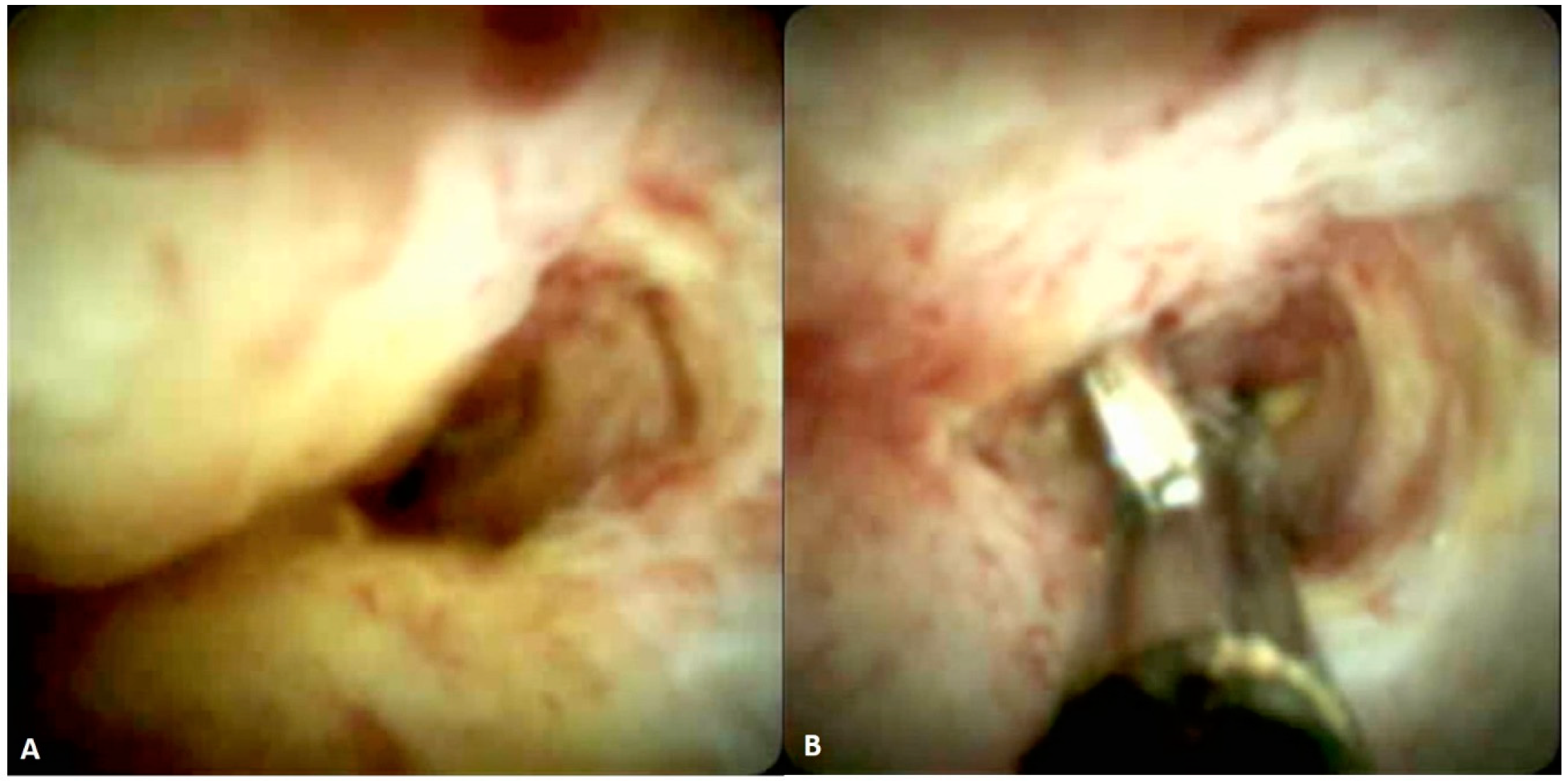 Jpm 11 00078 g001 Jpm 11 00078 g001