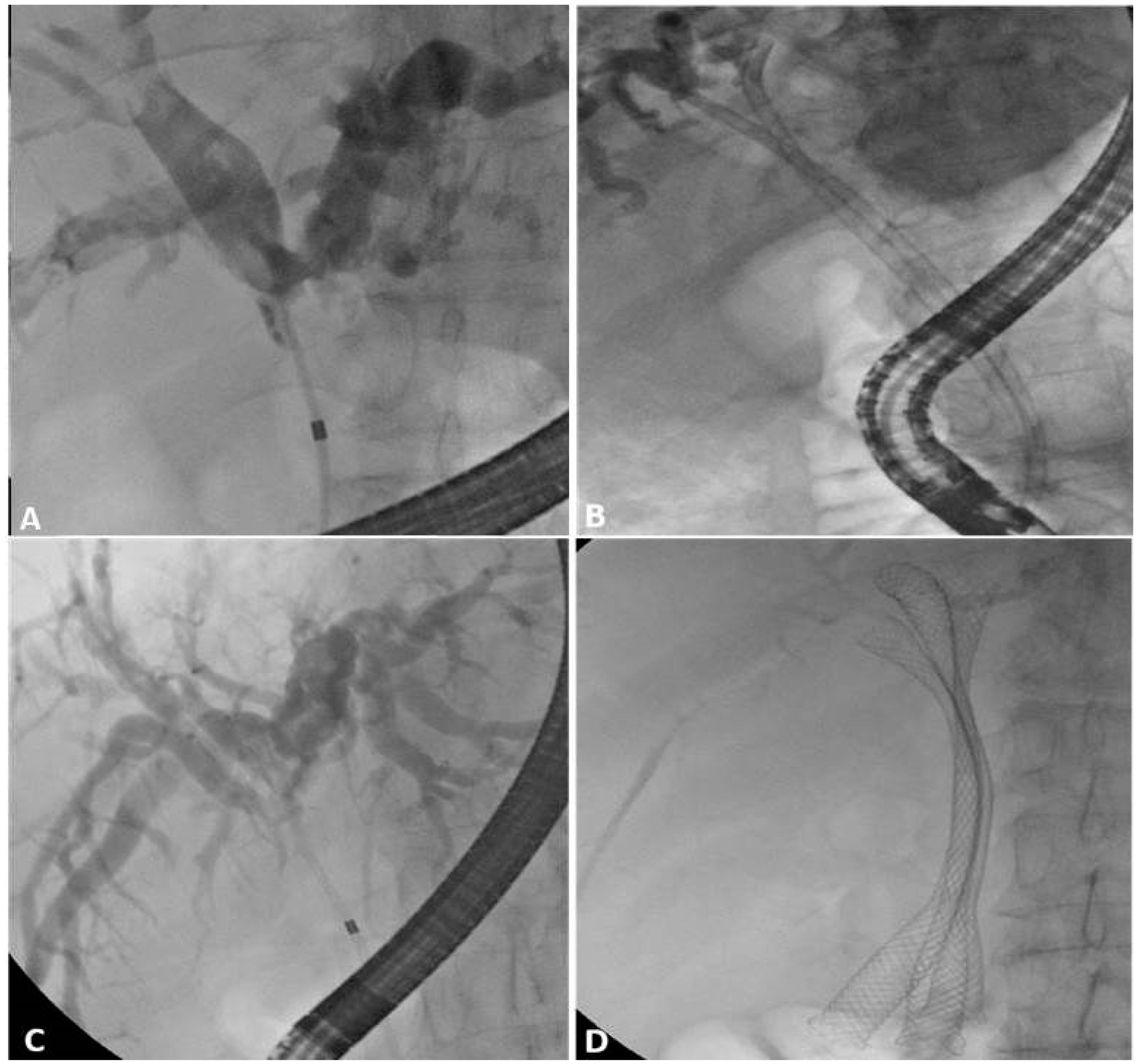 Jpm 11 00078 g005 Jpm 11 00078 g005