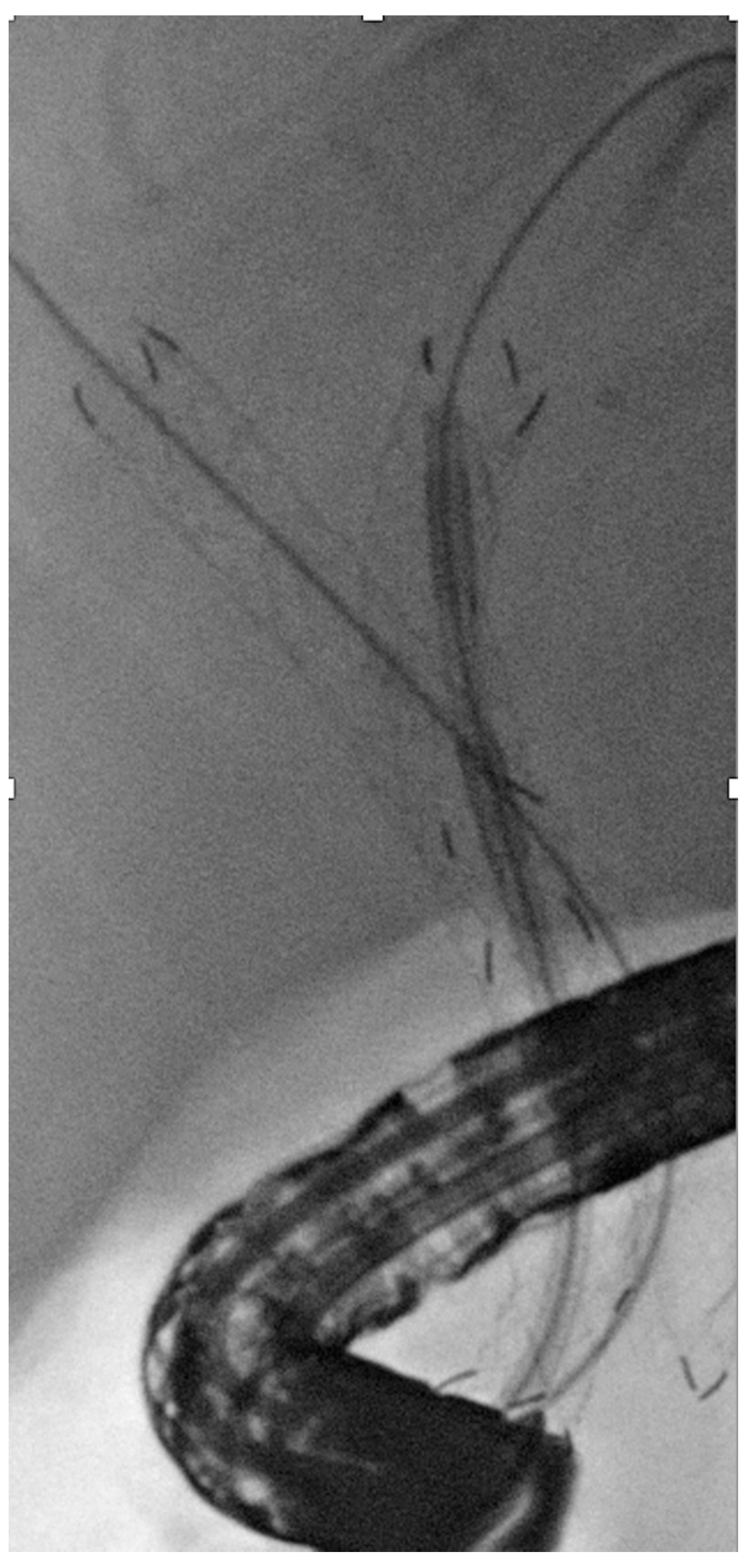 Jpm 11 00078 g008 Jpm 11 00078 g008