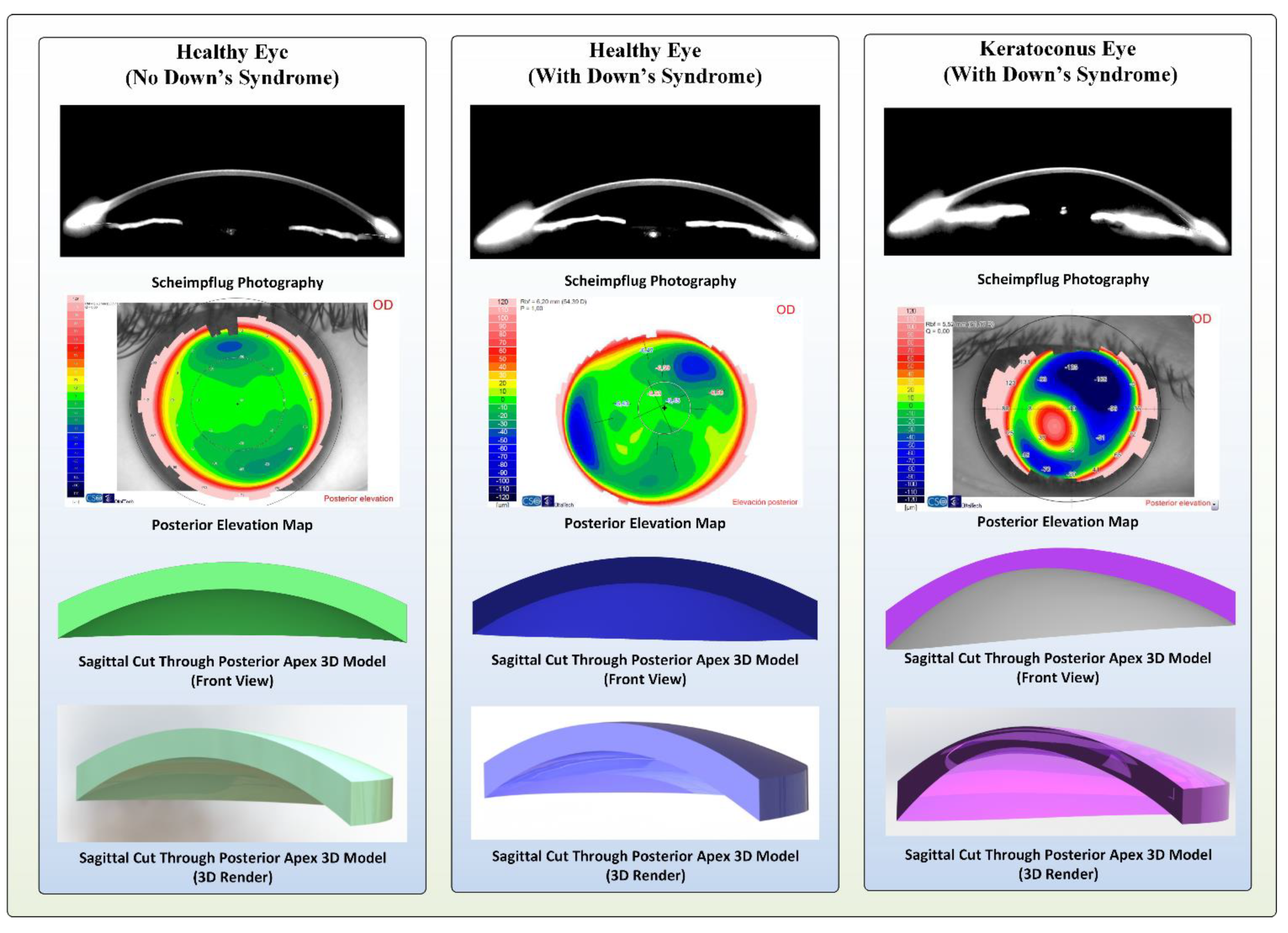 Jpm 11 00082 g002 Jpm 11 00082 g002