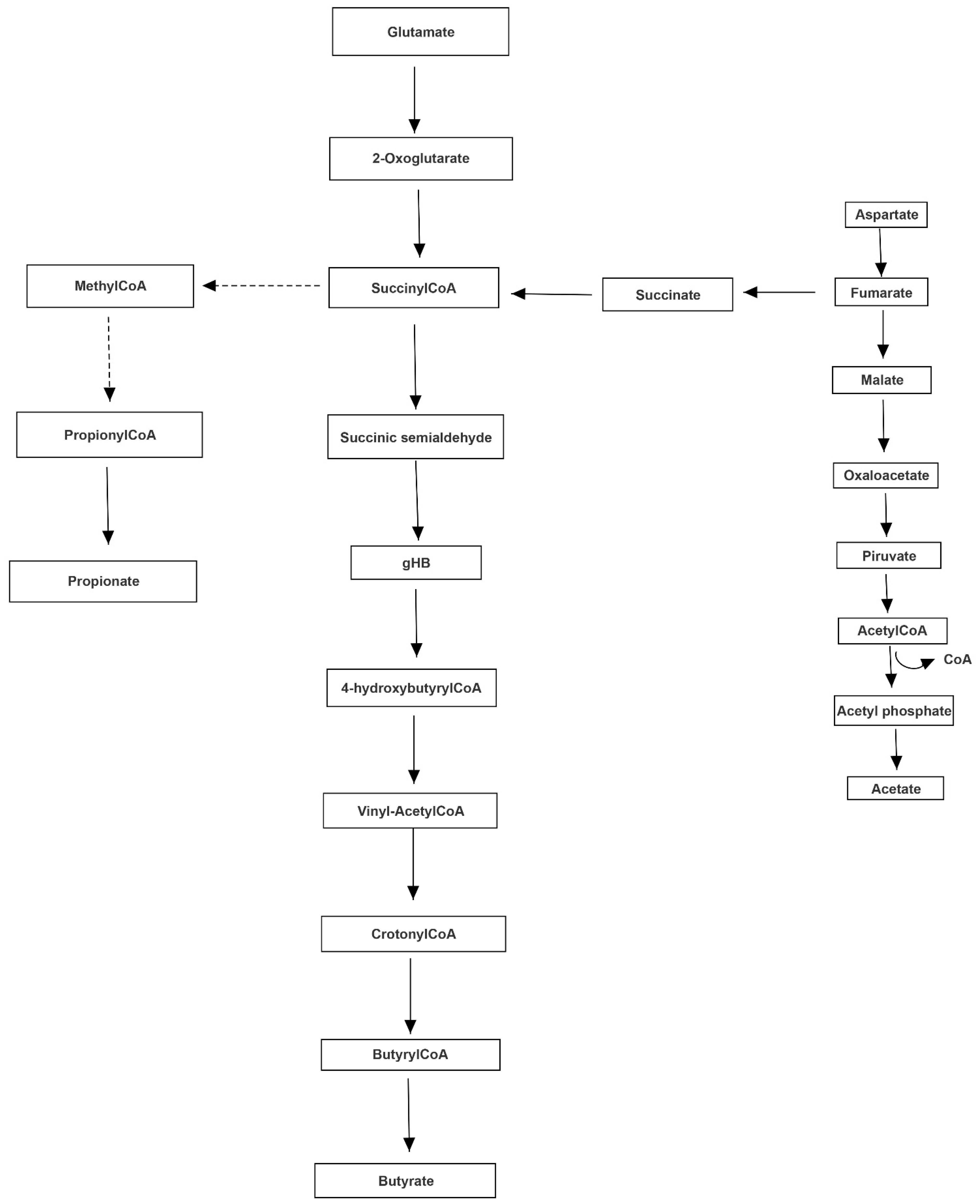 Jpm 11 00087 g001 Jpm 11 00087 g001