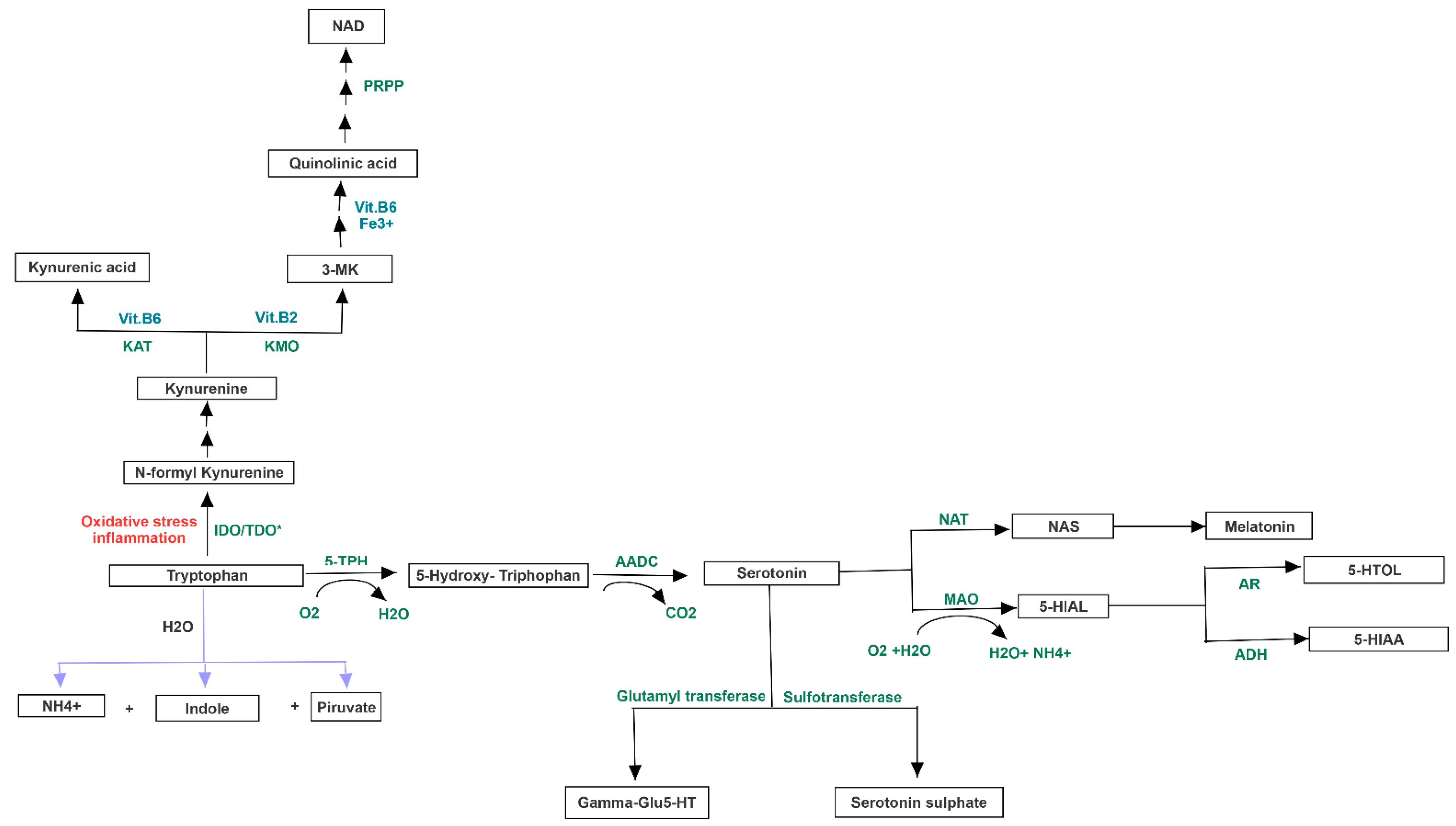 Jpm 11 00087 g003 Jpm 11 00087 g003