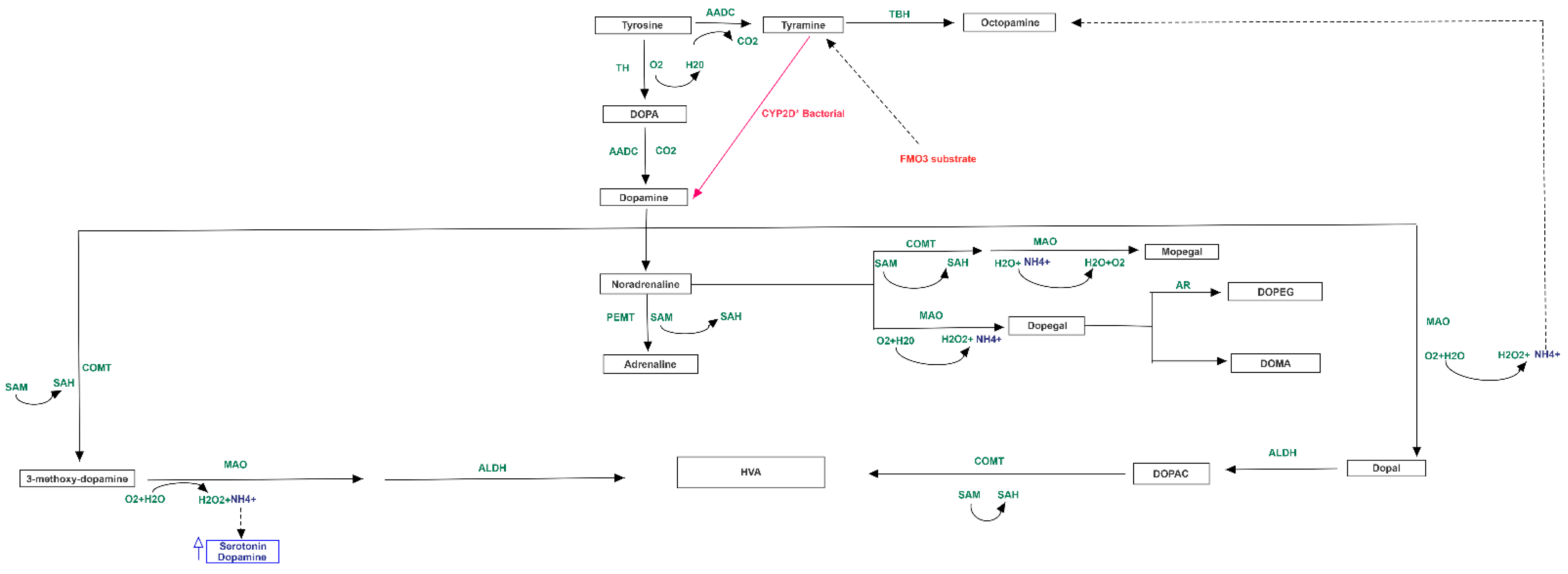 Jpm 11 00087 g004 Jpm 11 00087 g004