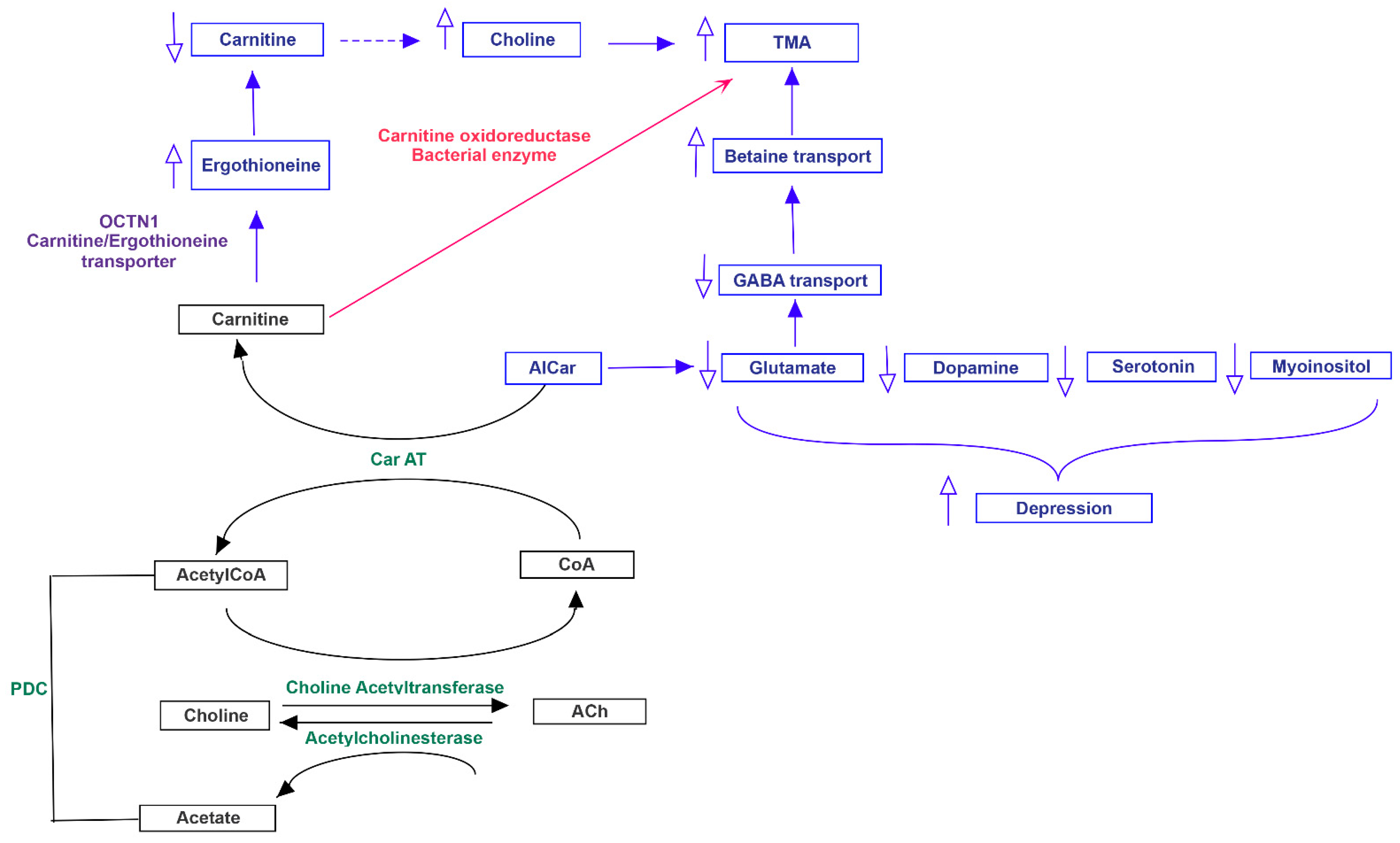 Jpm 11 00087 g005 Jpm 11 00087 g005