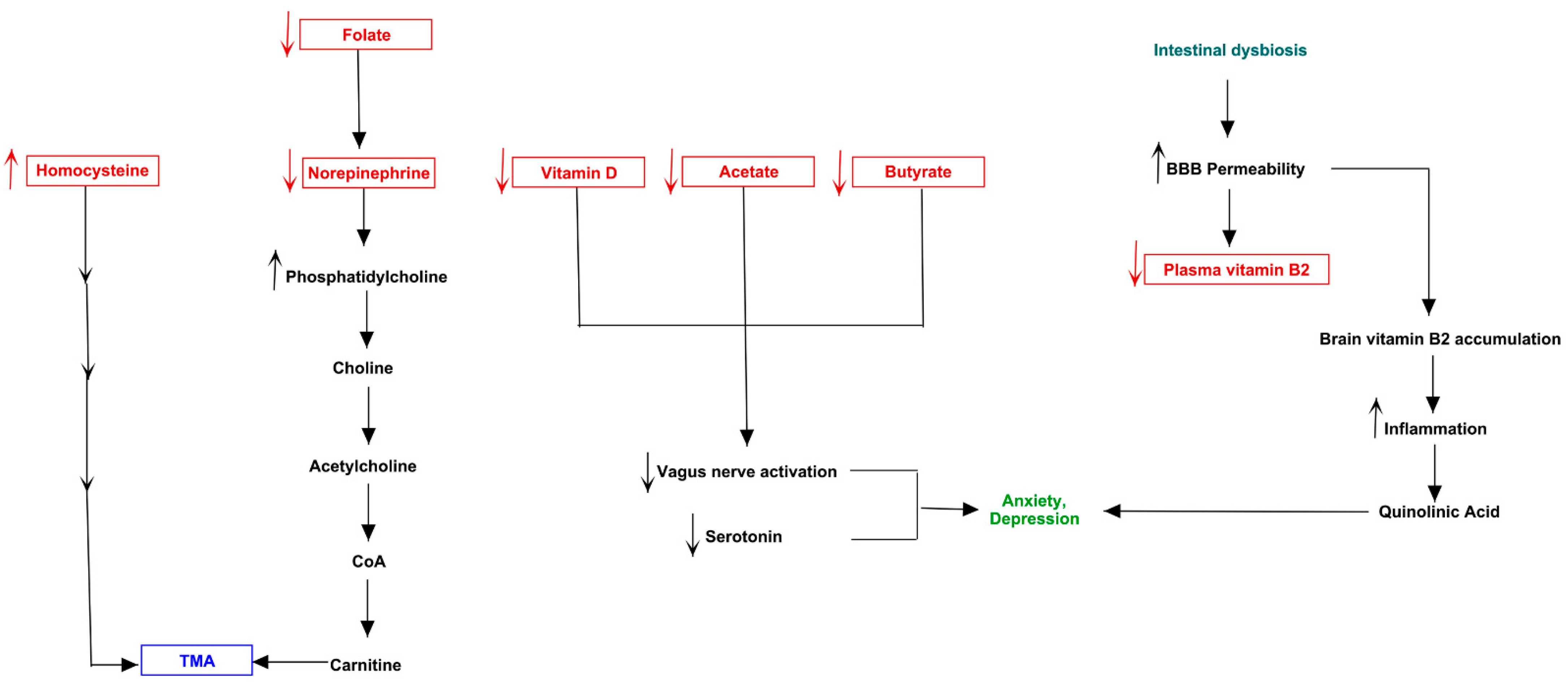 Jpm 11 00087 g010 Jpm 11 00087 g010