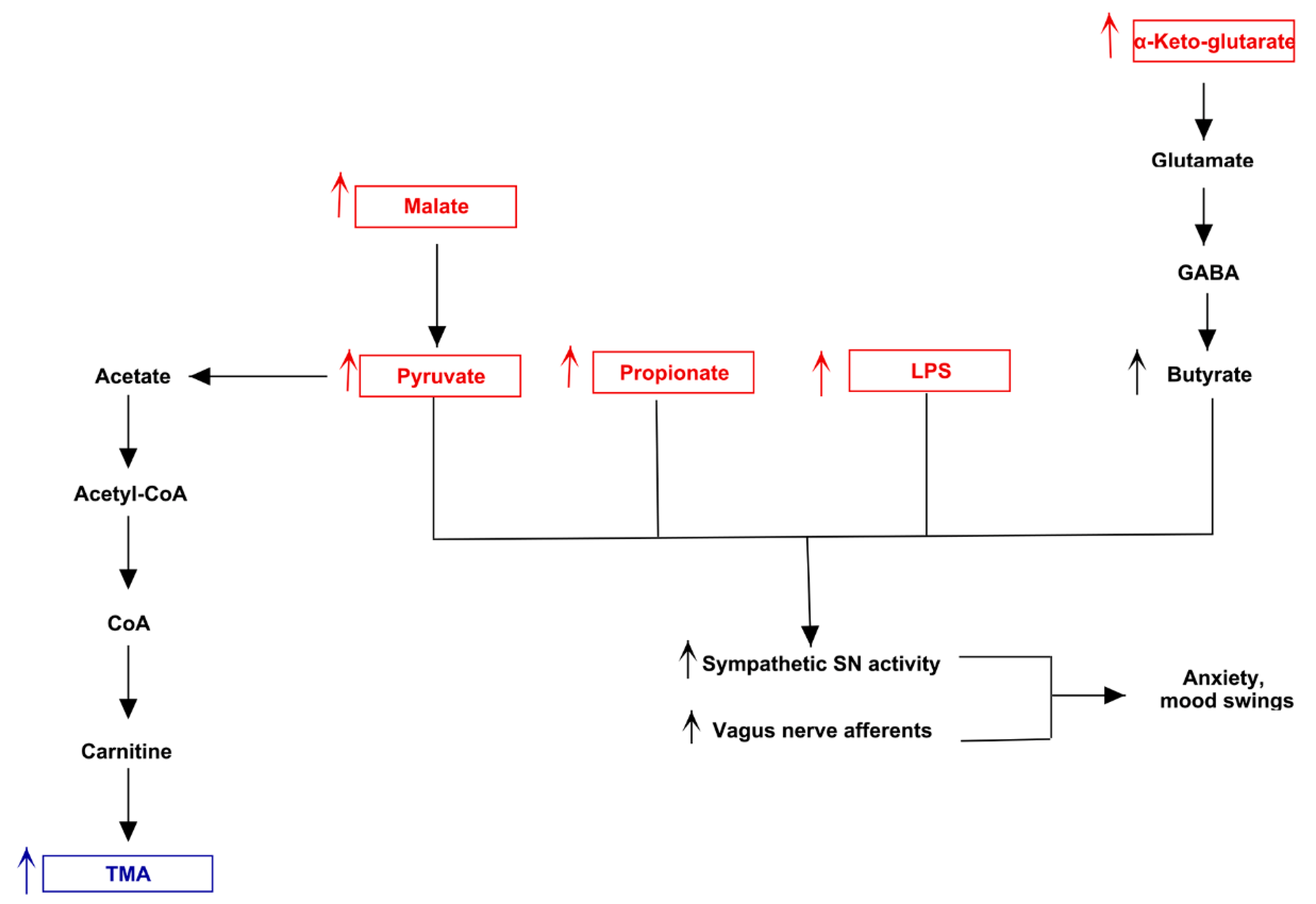 Jpm 11 00087 g011 Jpm 11 00087 g011