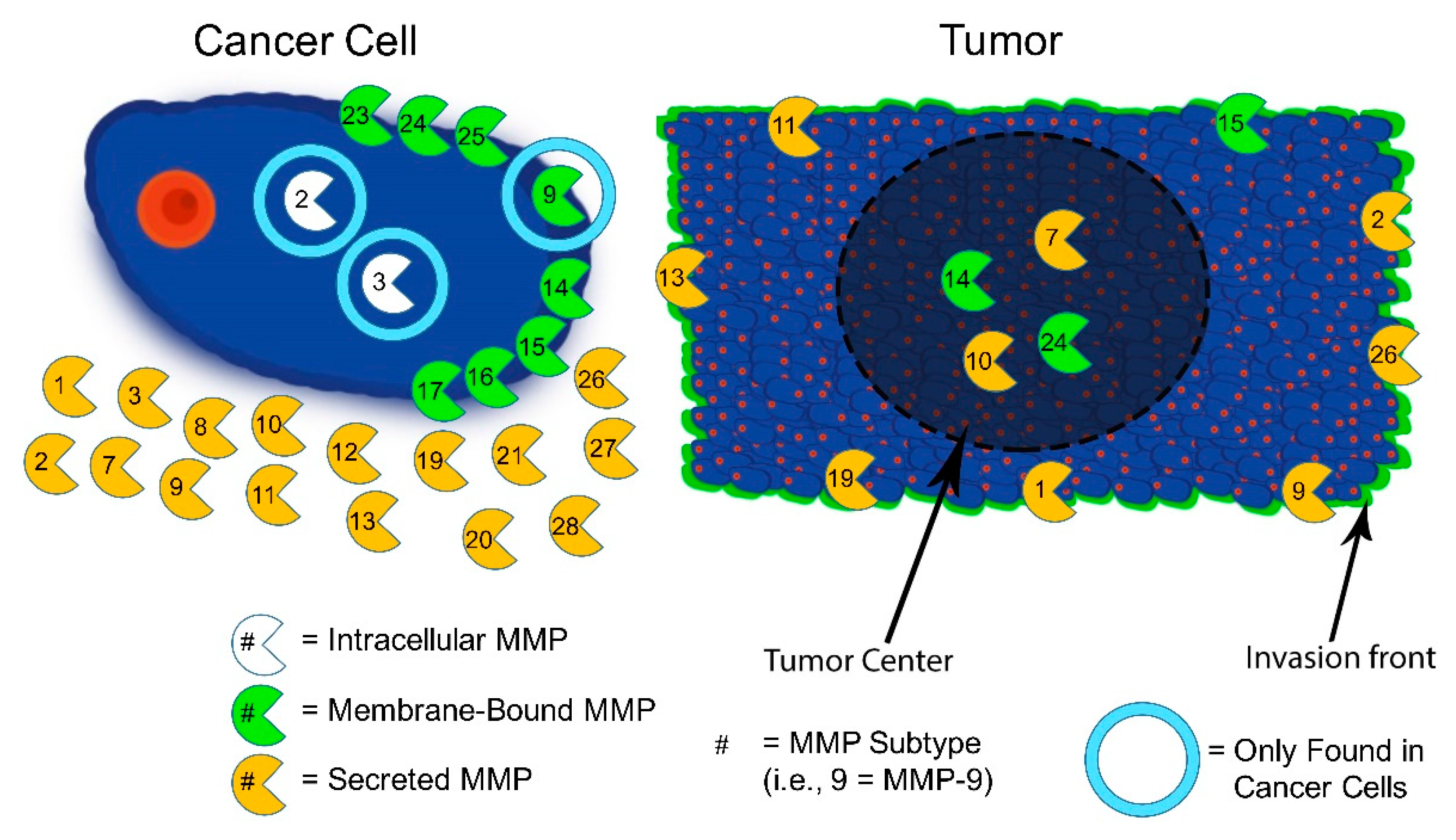 Jpm 11 00088 g001 Jpm 11 00088 g001