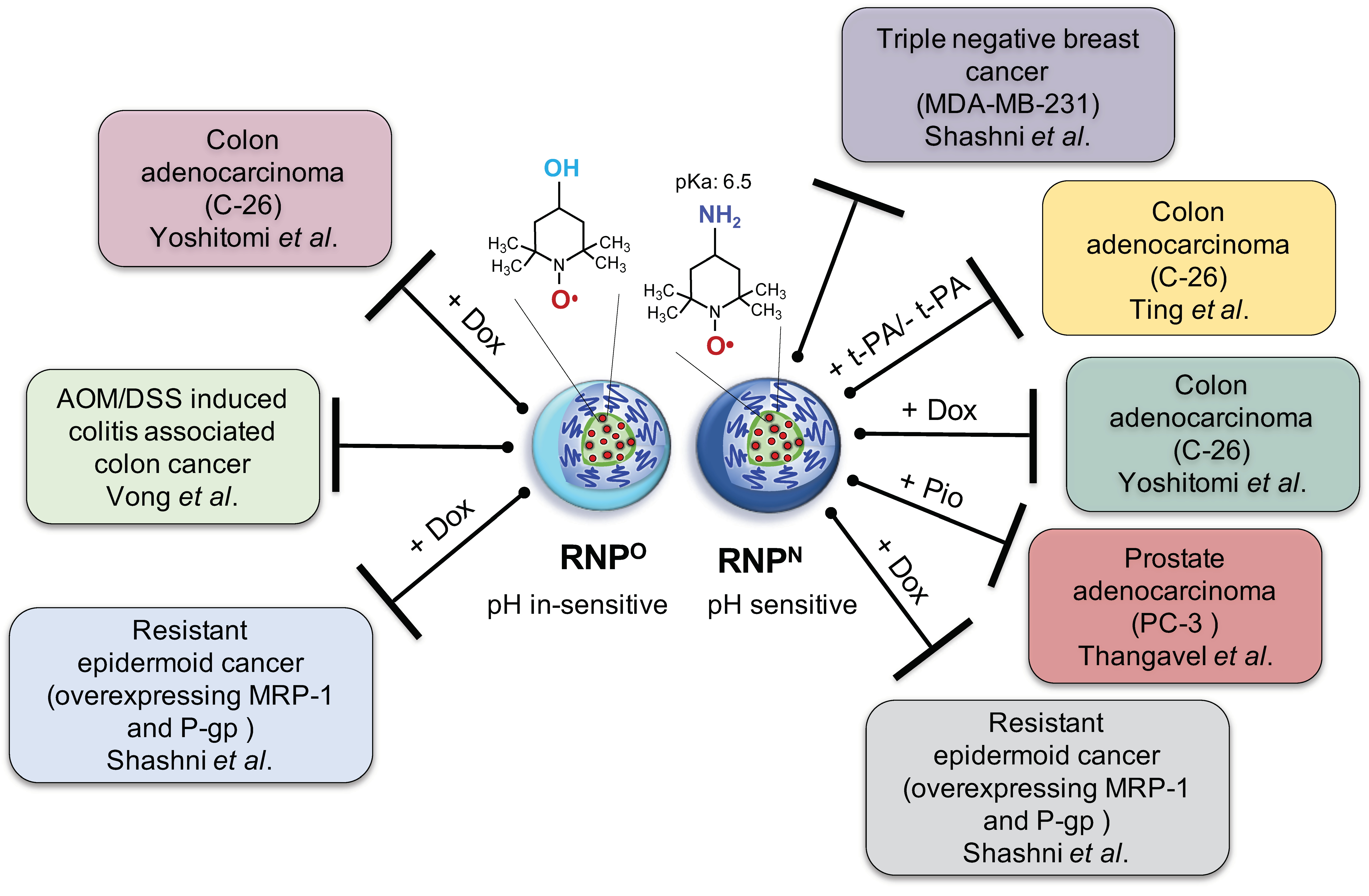 Jpm 11 00092 g001 Jpm 11 00092 g001