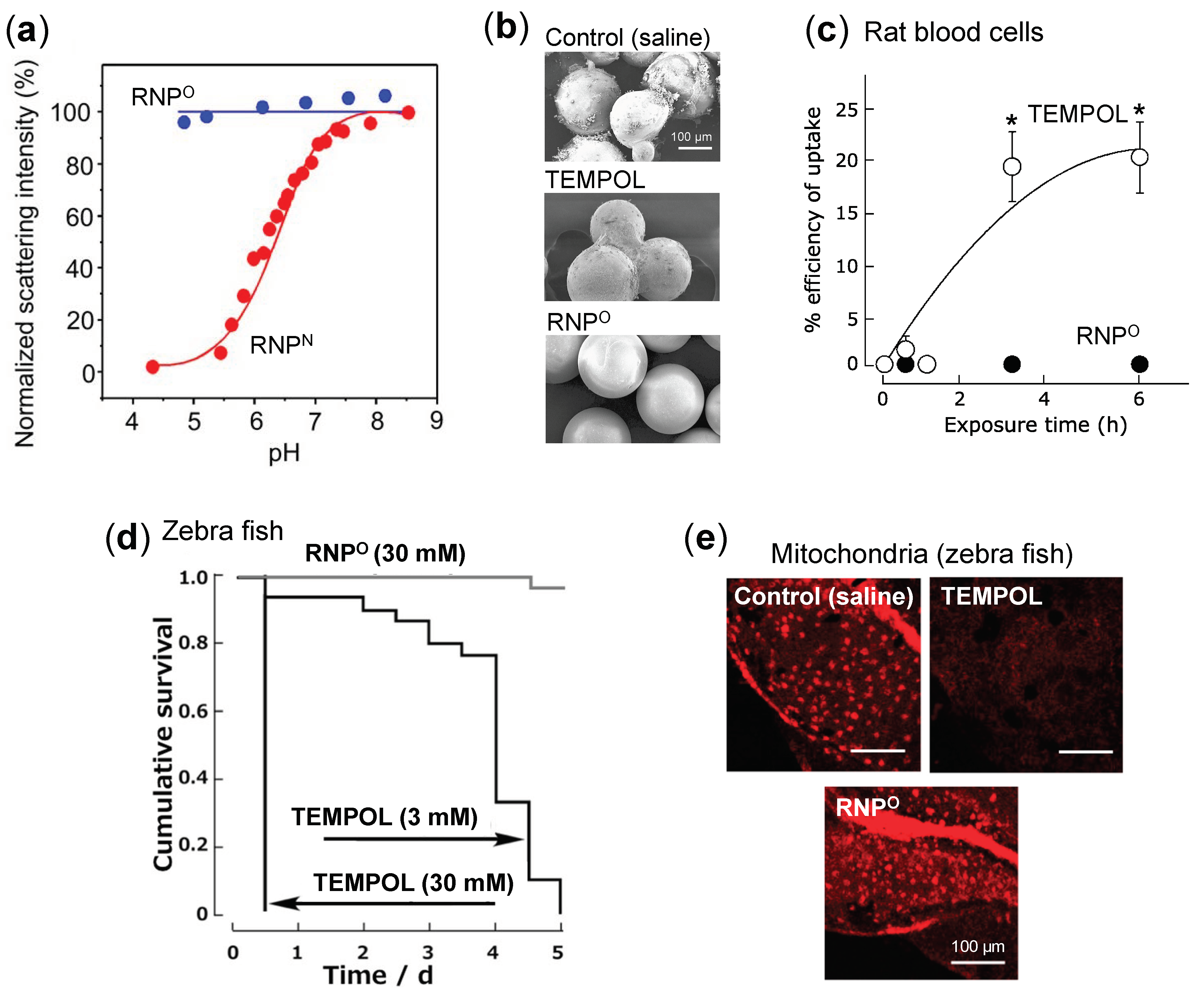 Jpm 11 00092 g003 Jpm 11 00092 g003