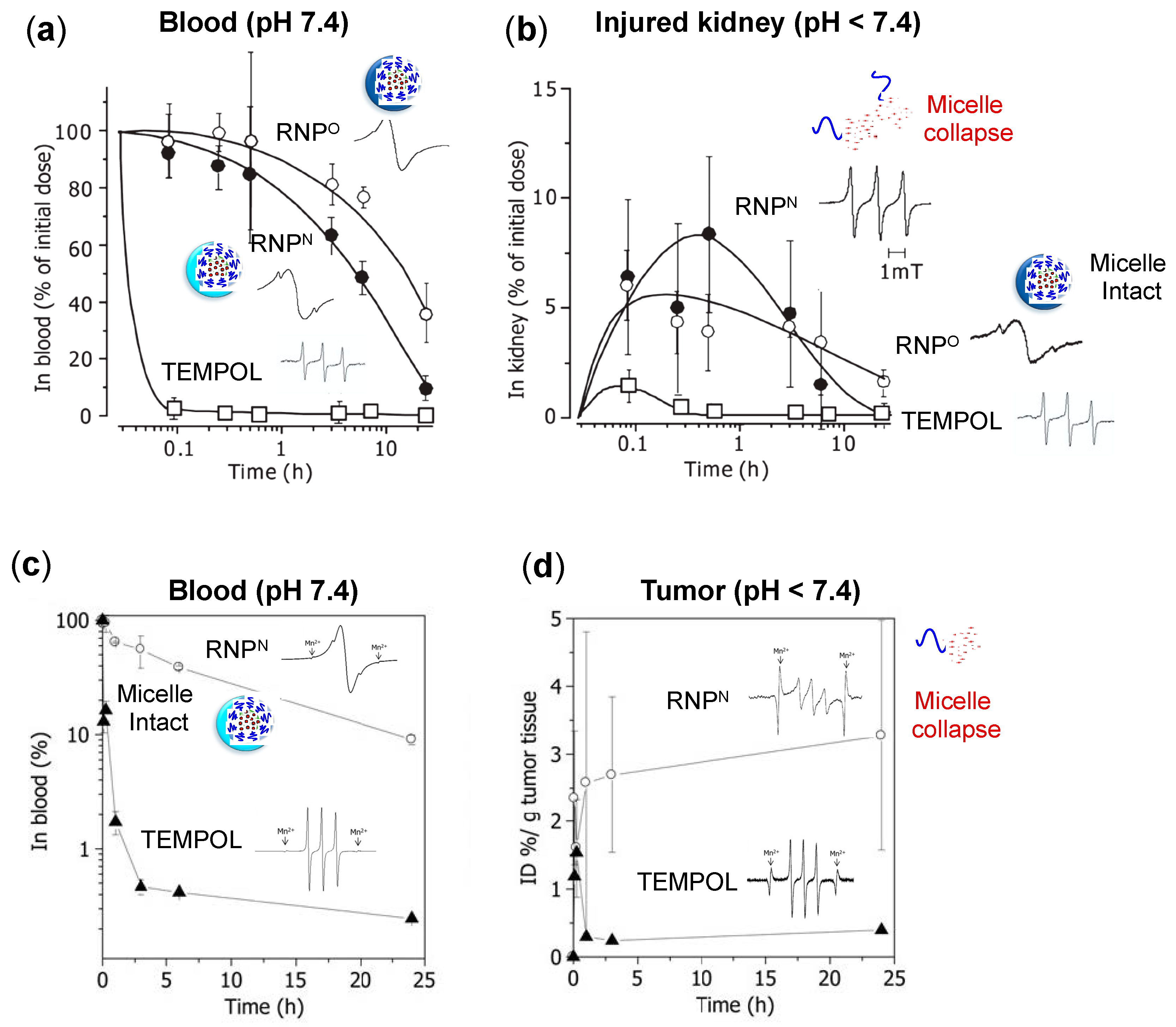 Jpm 11 00092 g004 Jpm 11 00092 g004