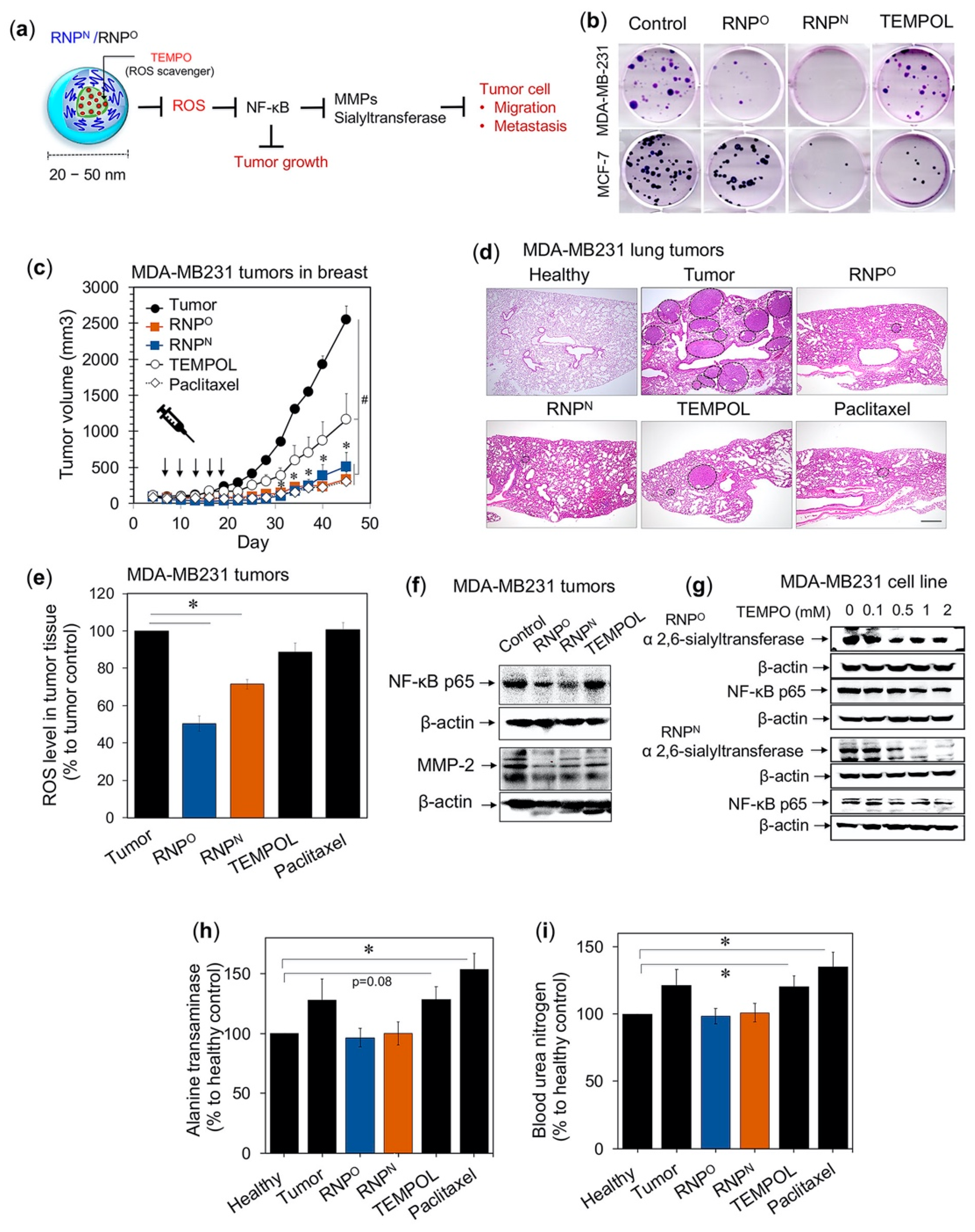 Jpm 11 00092 g005 Jpm 11 00092 g005
