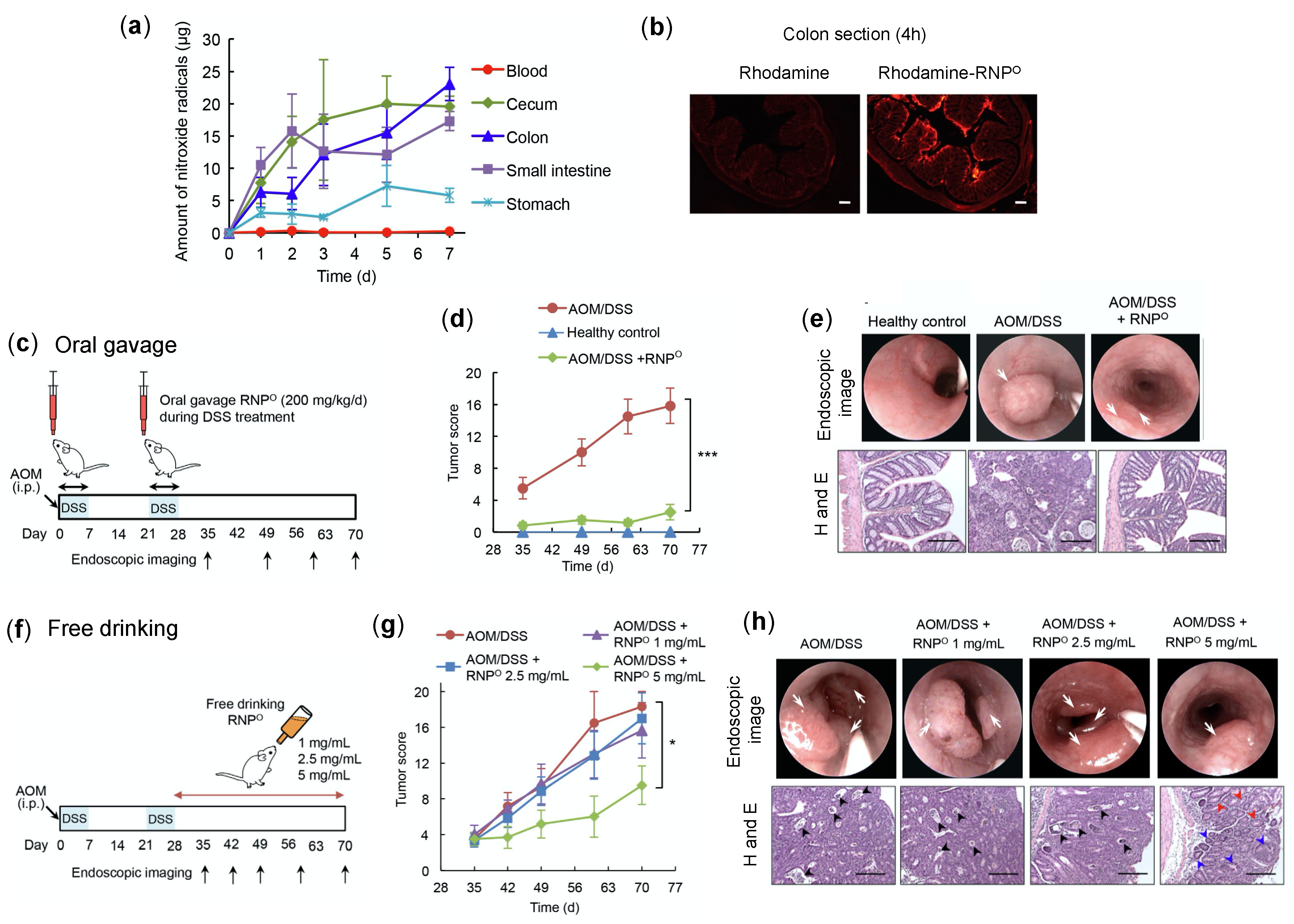Jpm 11 00092 g006 Jpm 11 00092 g006