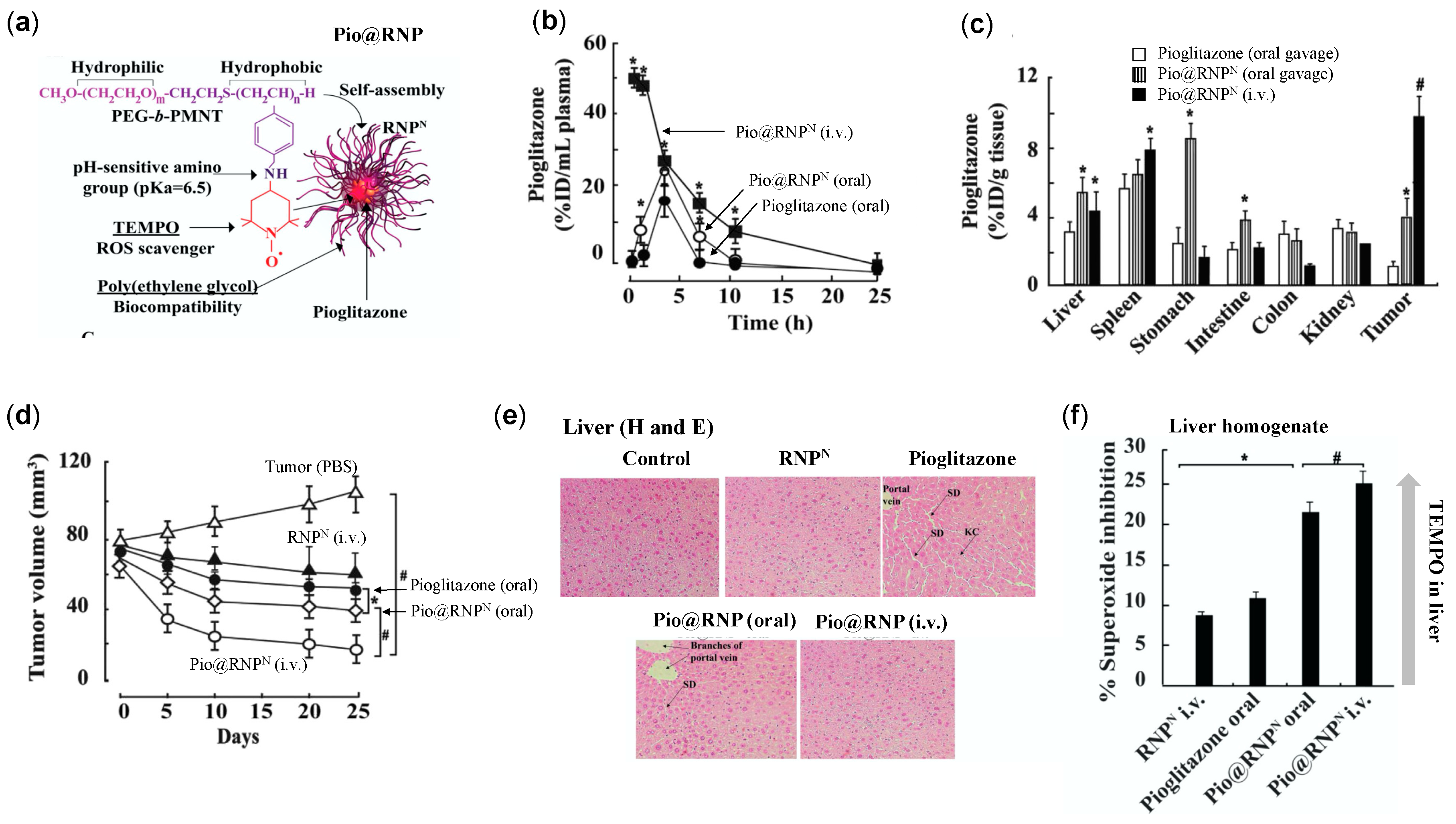 Jpm 11 00092 g008 Jpm 11 00092 g008
