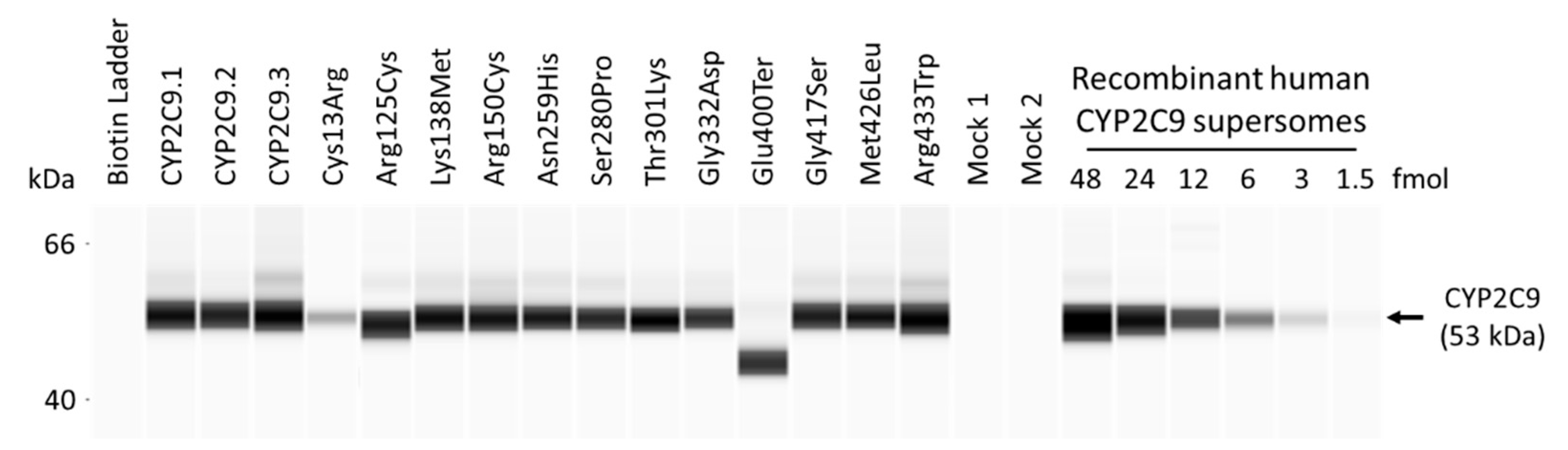 Jpm 11 00094 g001 Jpm 11 00094 g001
