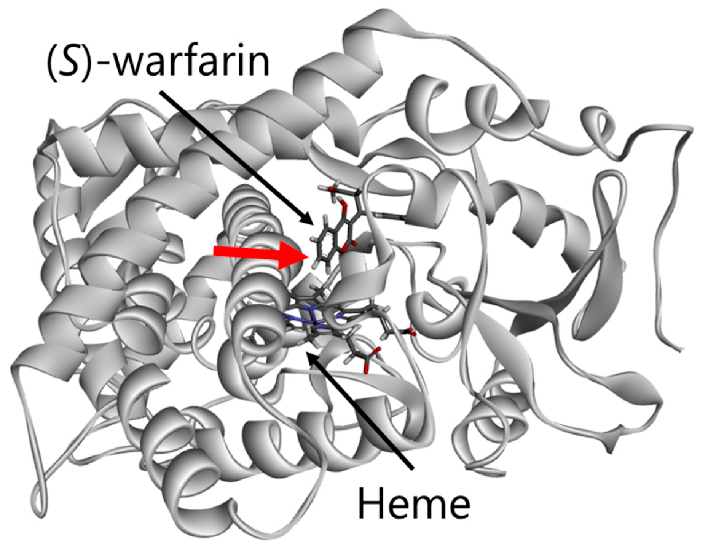 Jpm 11 00094 g004 Jpm 11 00094 g004