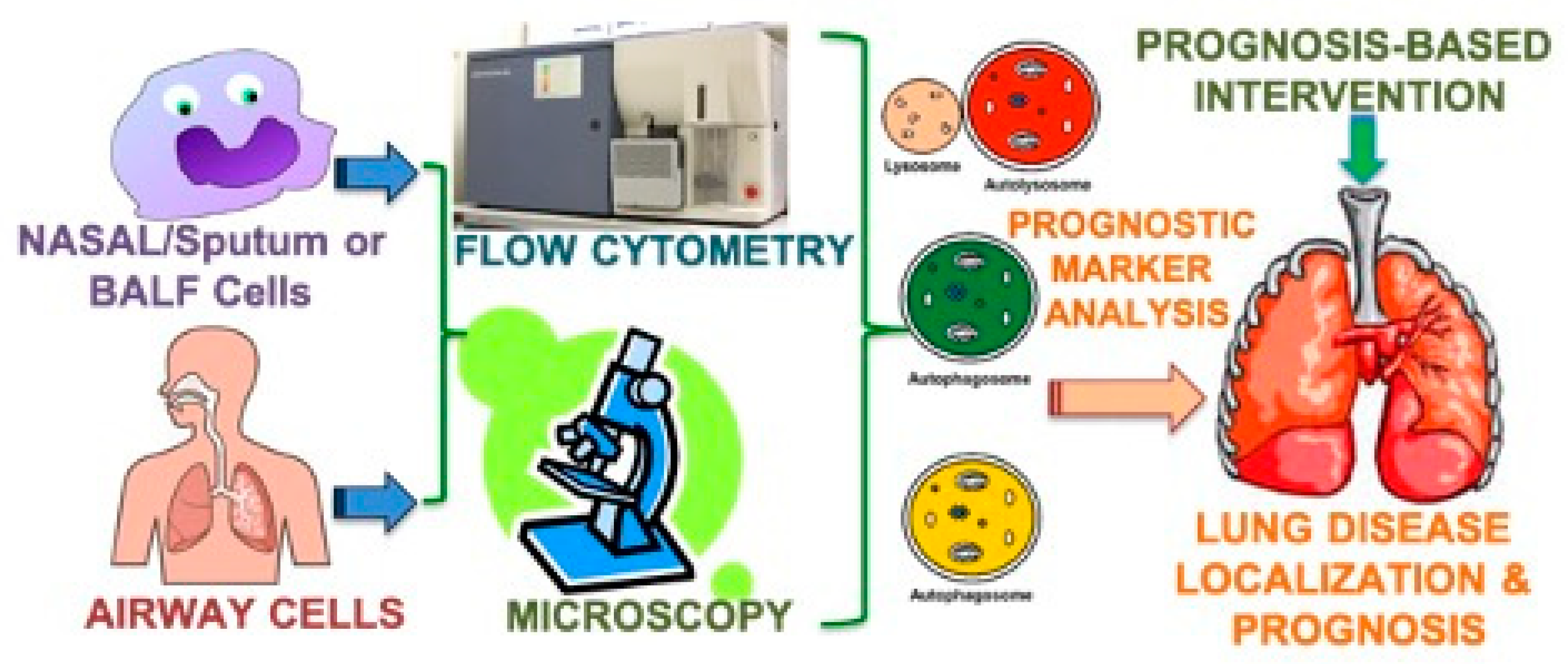 Jpm 11 00096 g001 Jpm 11 00096 g001