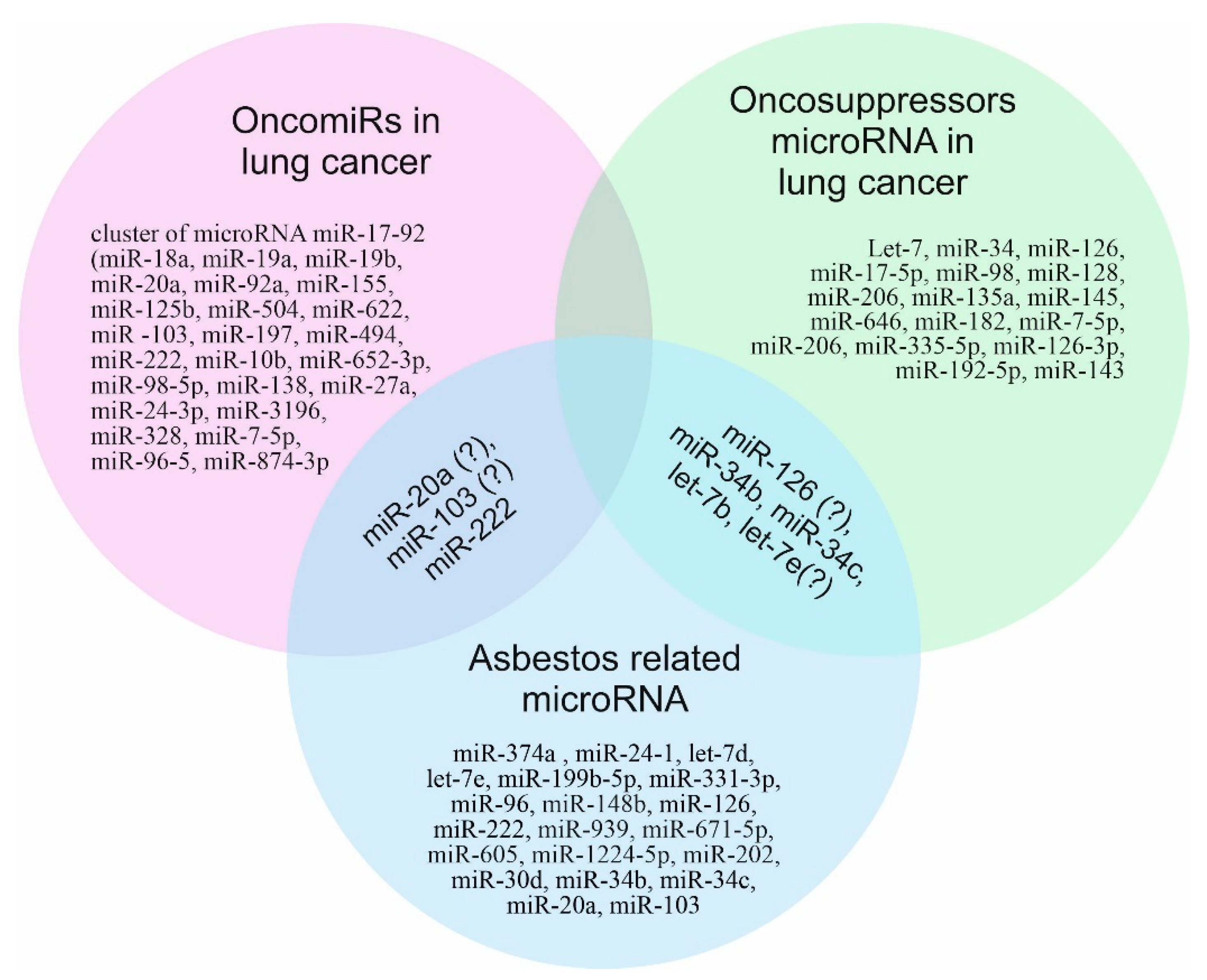 Jpm Free Full Text Role Of Micrornas In Lung Carcinogenesis Induced By Asbestos Html