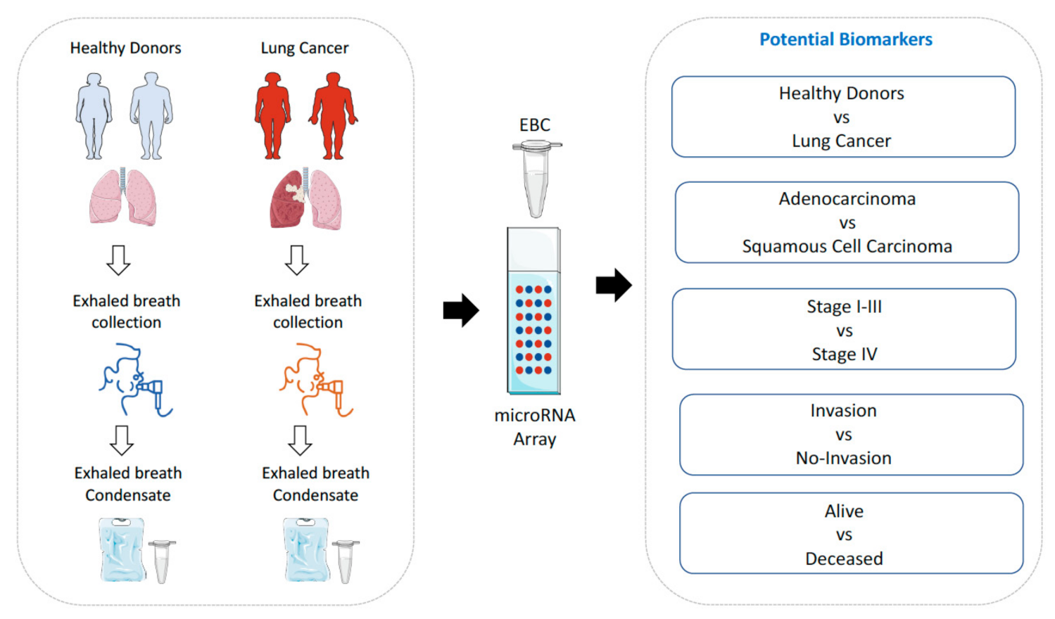 Jpm 11 00111 g001 Jpm 11 00111 g001
