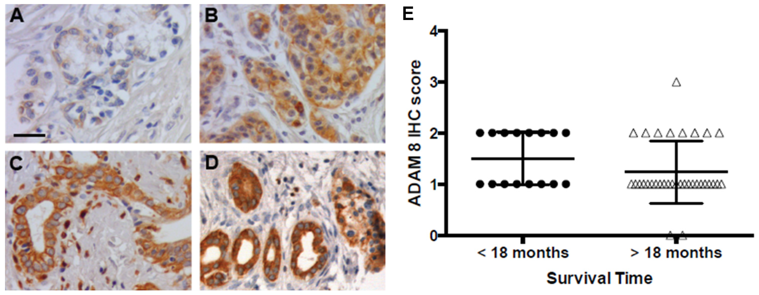 Jpm 11 00113 g001 Jpm 11 00113 g001