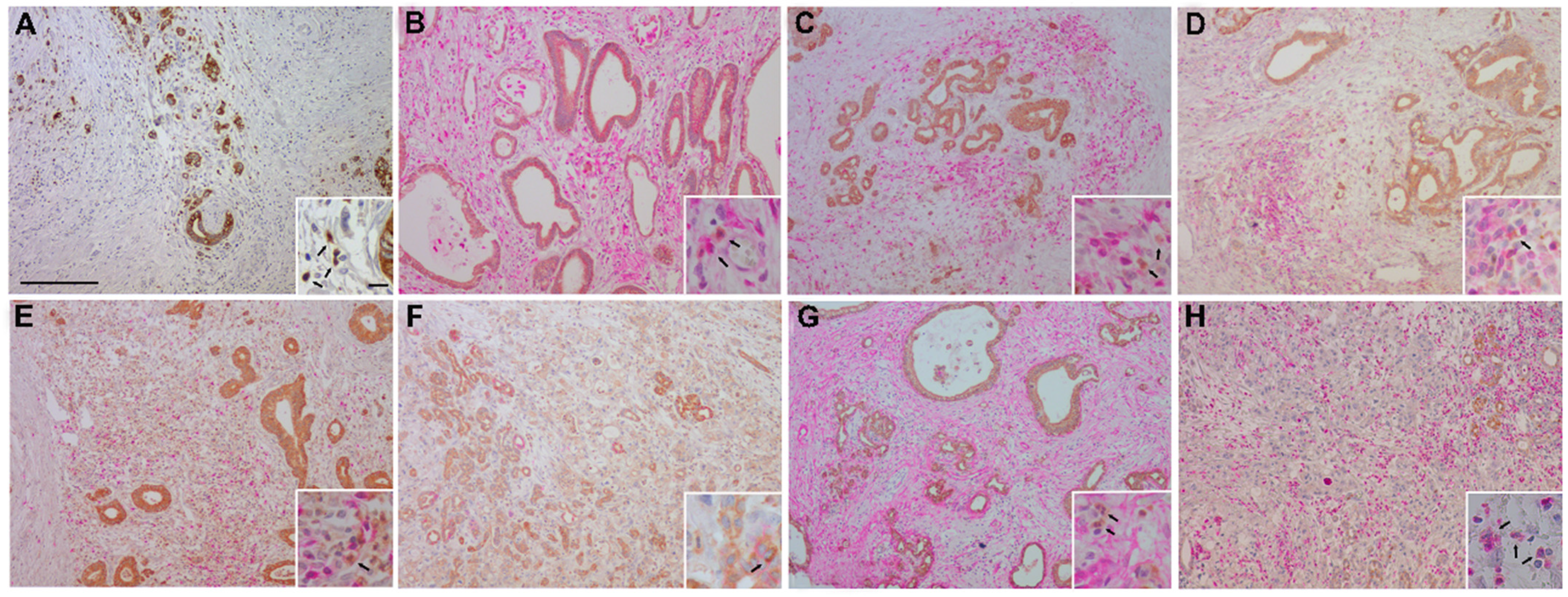 Jpm 11 00113 g002 Jpm 11 00113 g002